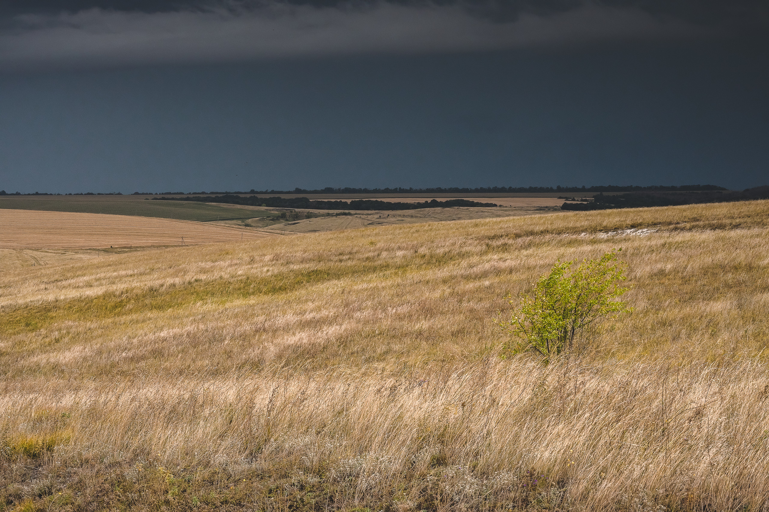 Перед дождем на плато в Дивногорье