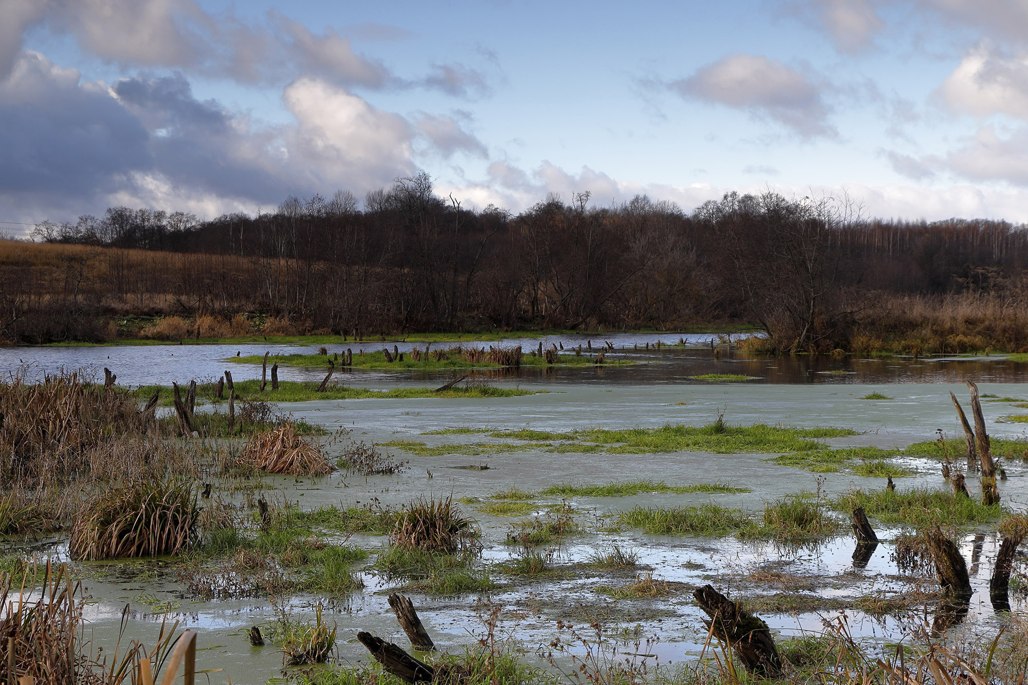 Екатерининский канал. Клинский район
