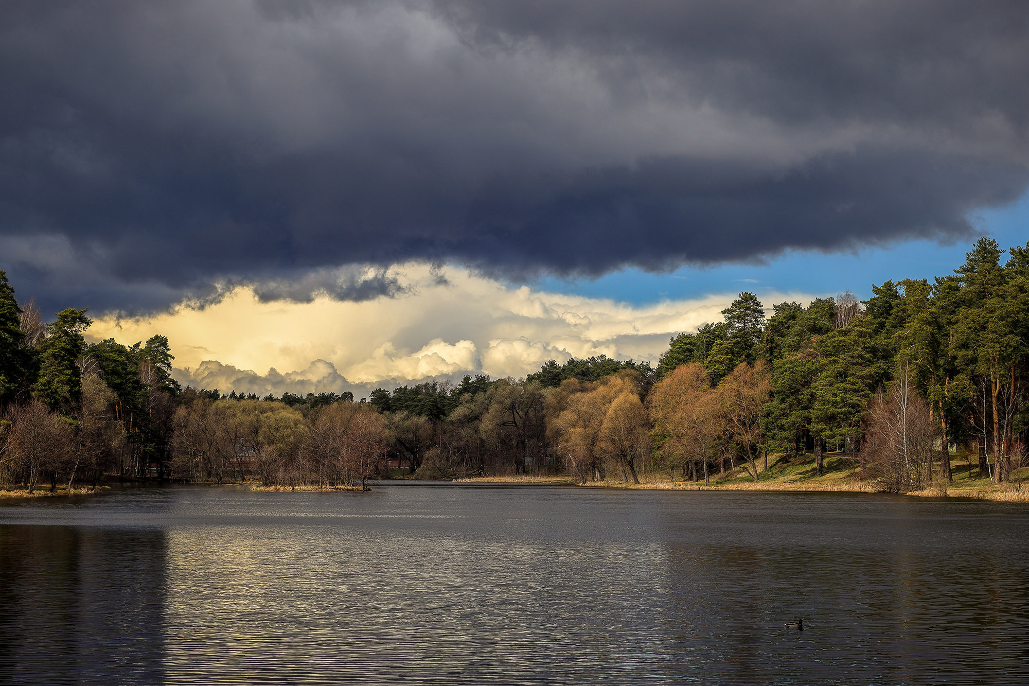 Красивый свет весной на озере Кратово