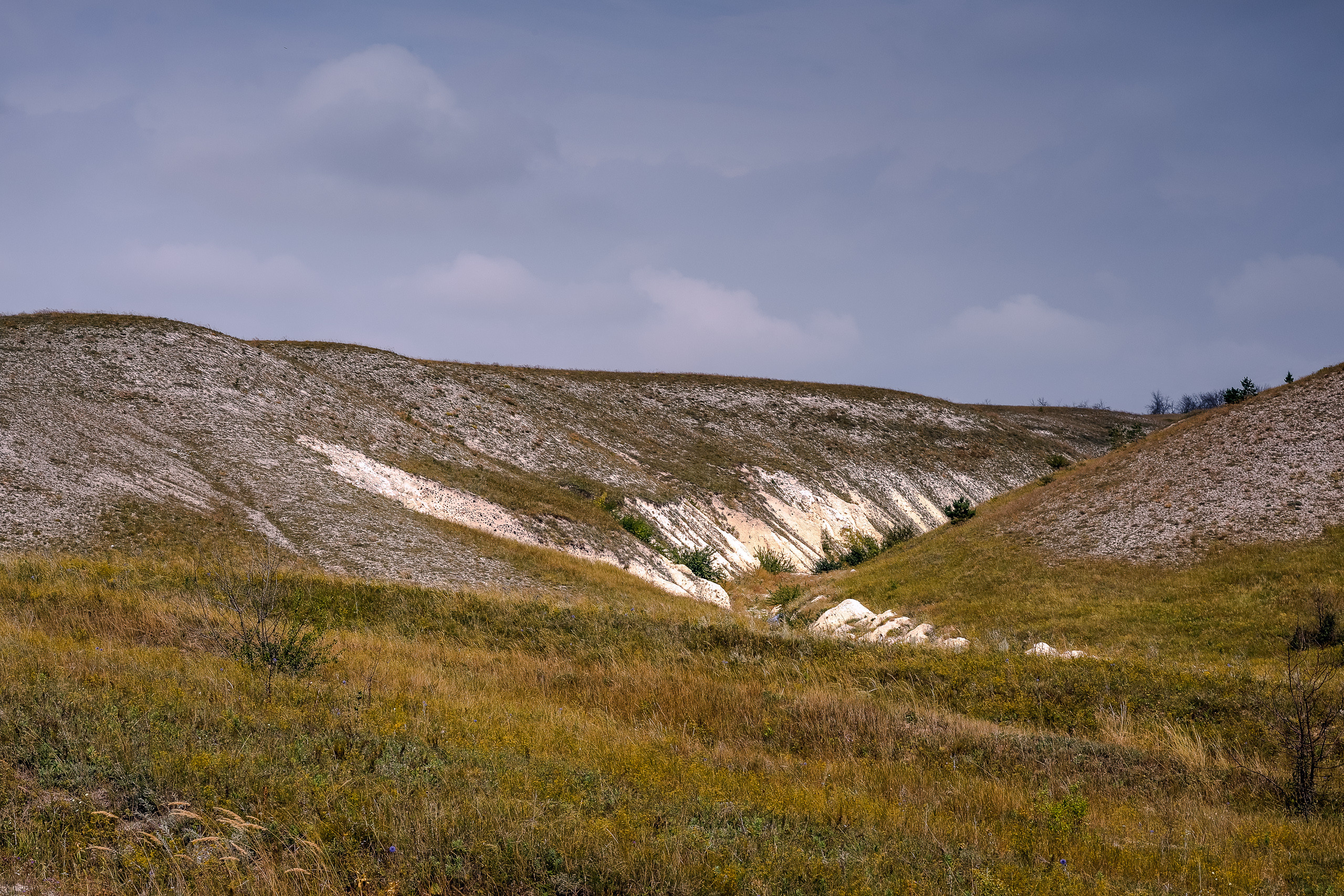 Меловые горы в заповеднике Дивногорье Воронежской области