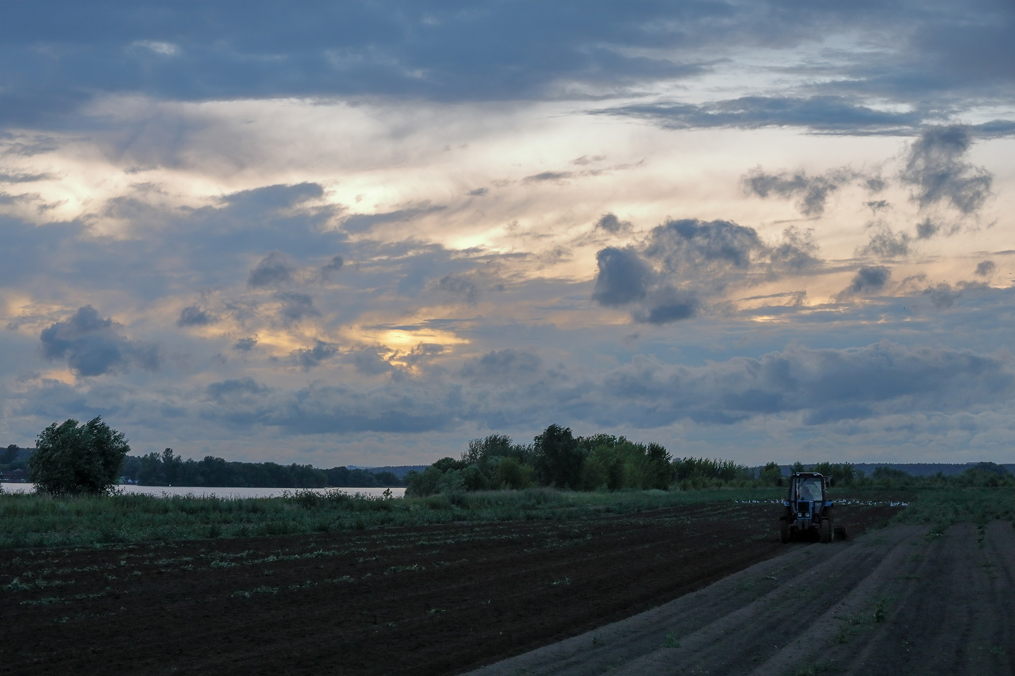 Боронование закат в поле