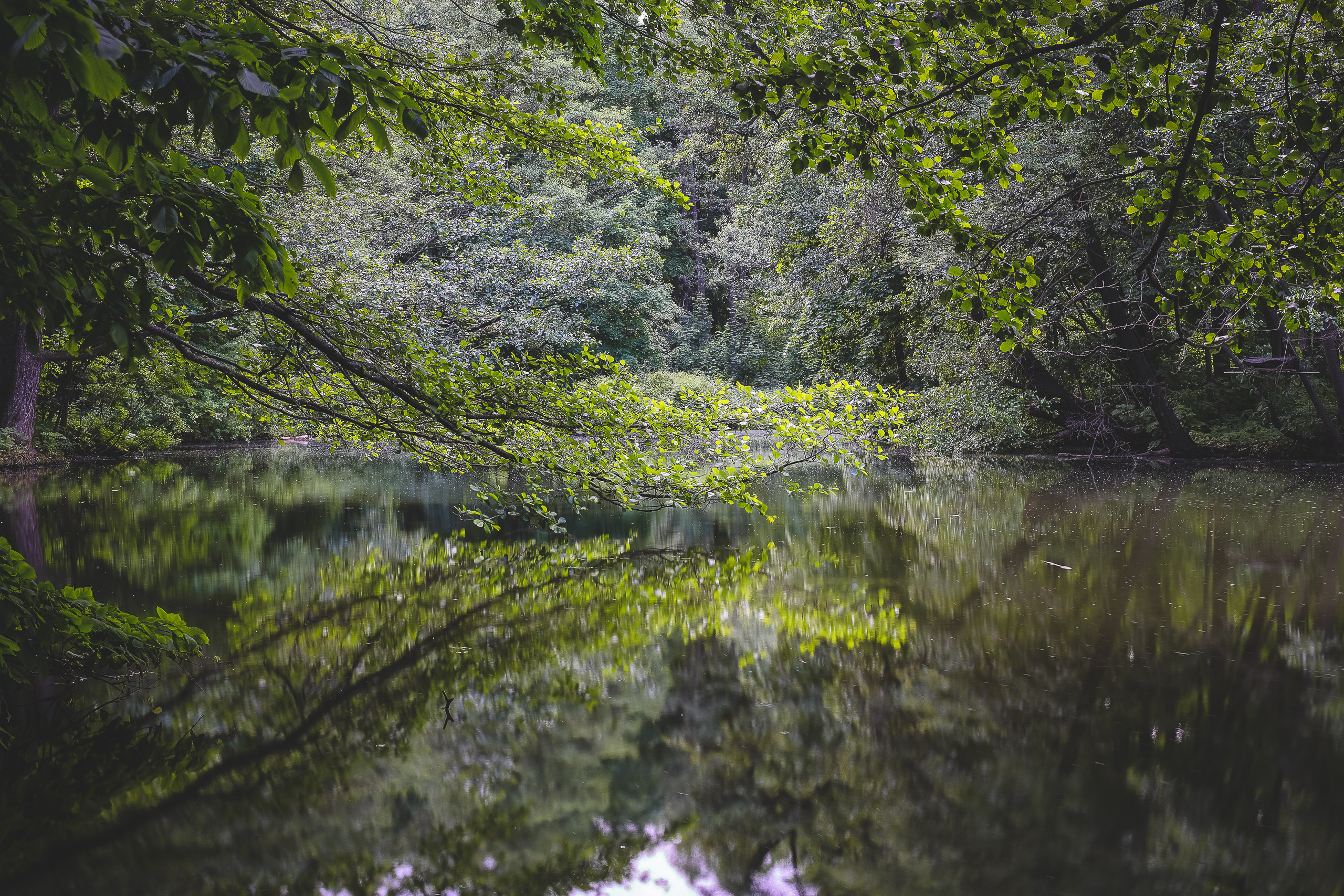 Тихое место пруд усадьбы в Быково