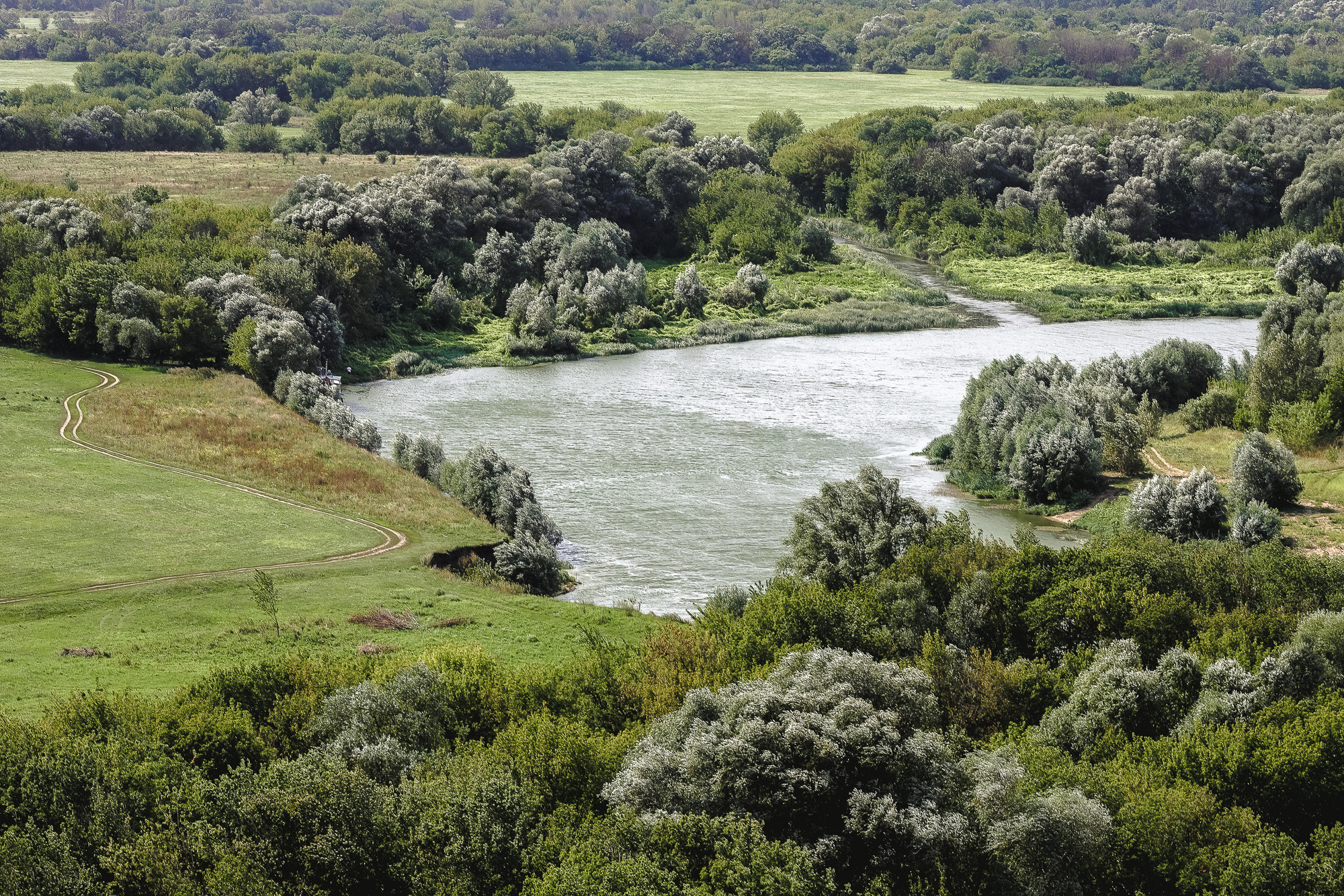 Река Дон в Дивногорье
