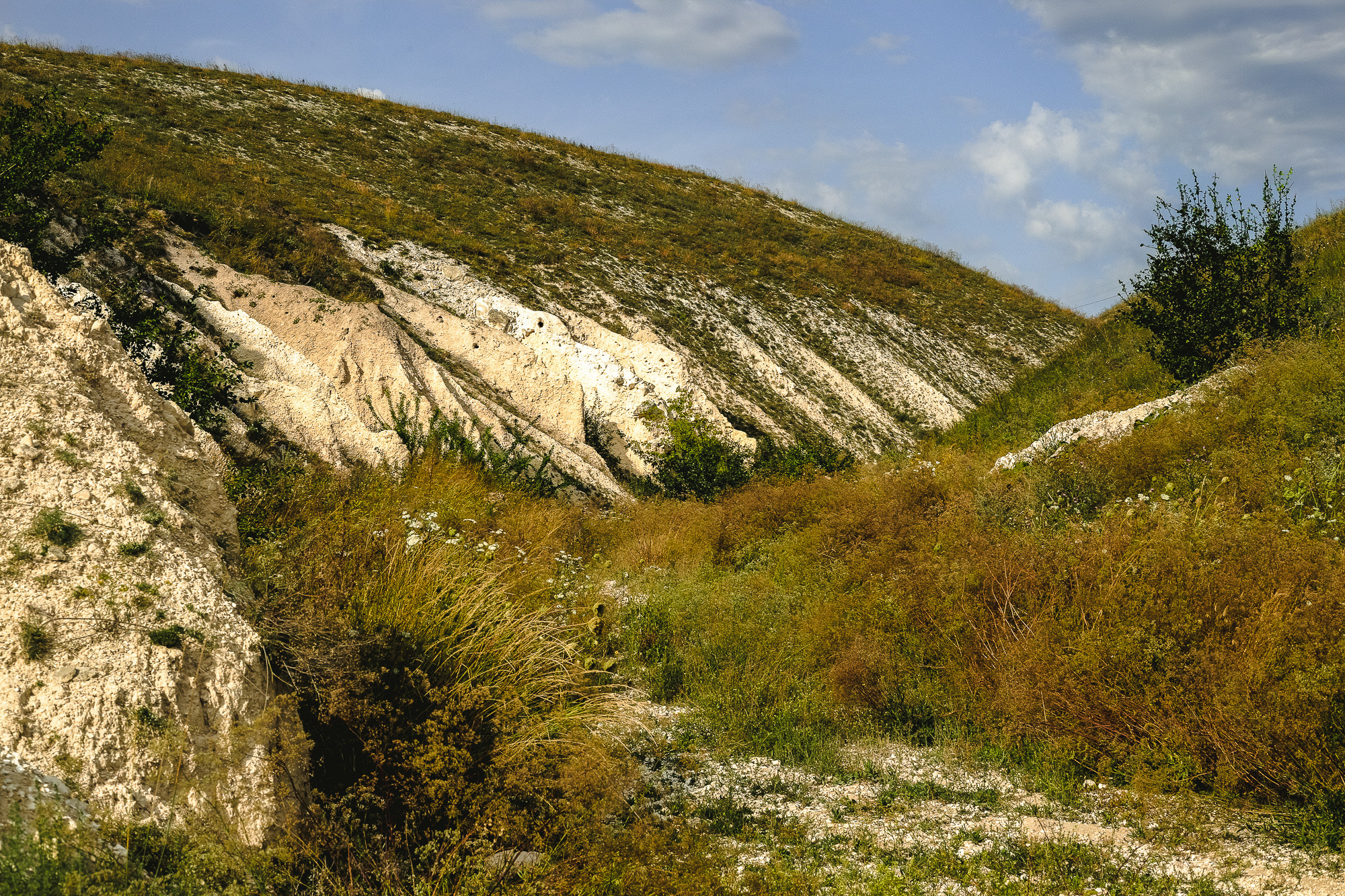 Каньон меловые горы Дивногорья