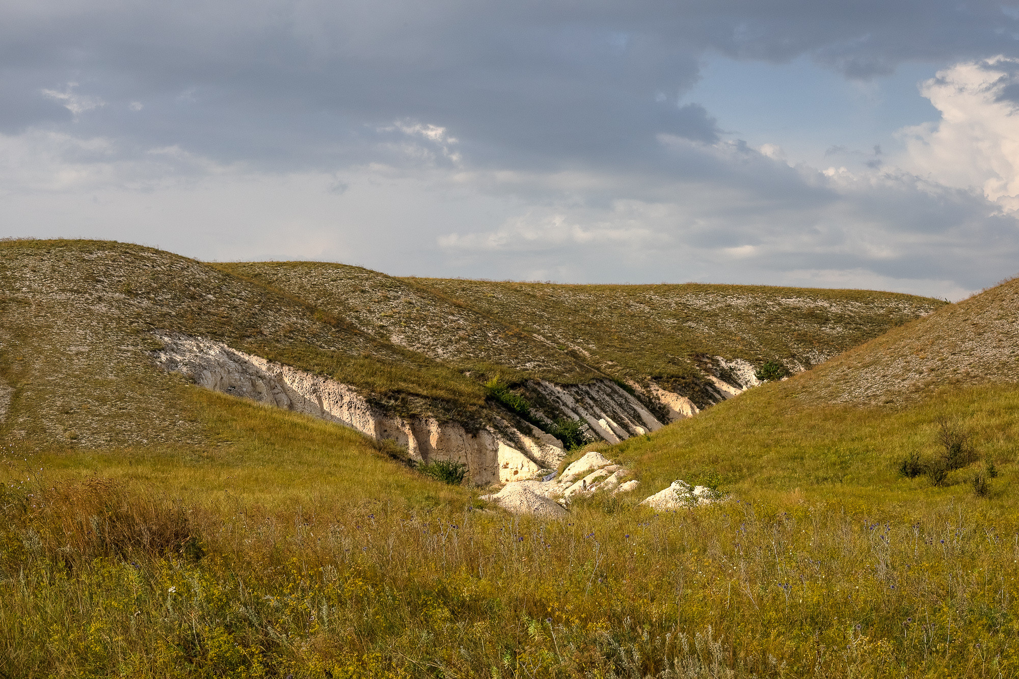 Вид на каньон в меловых горах Дивногорья