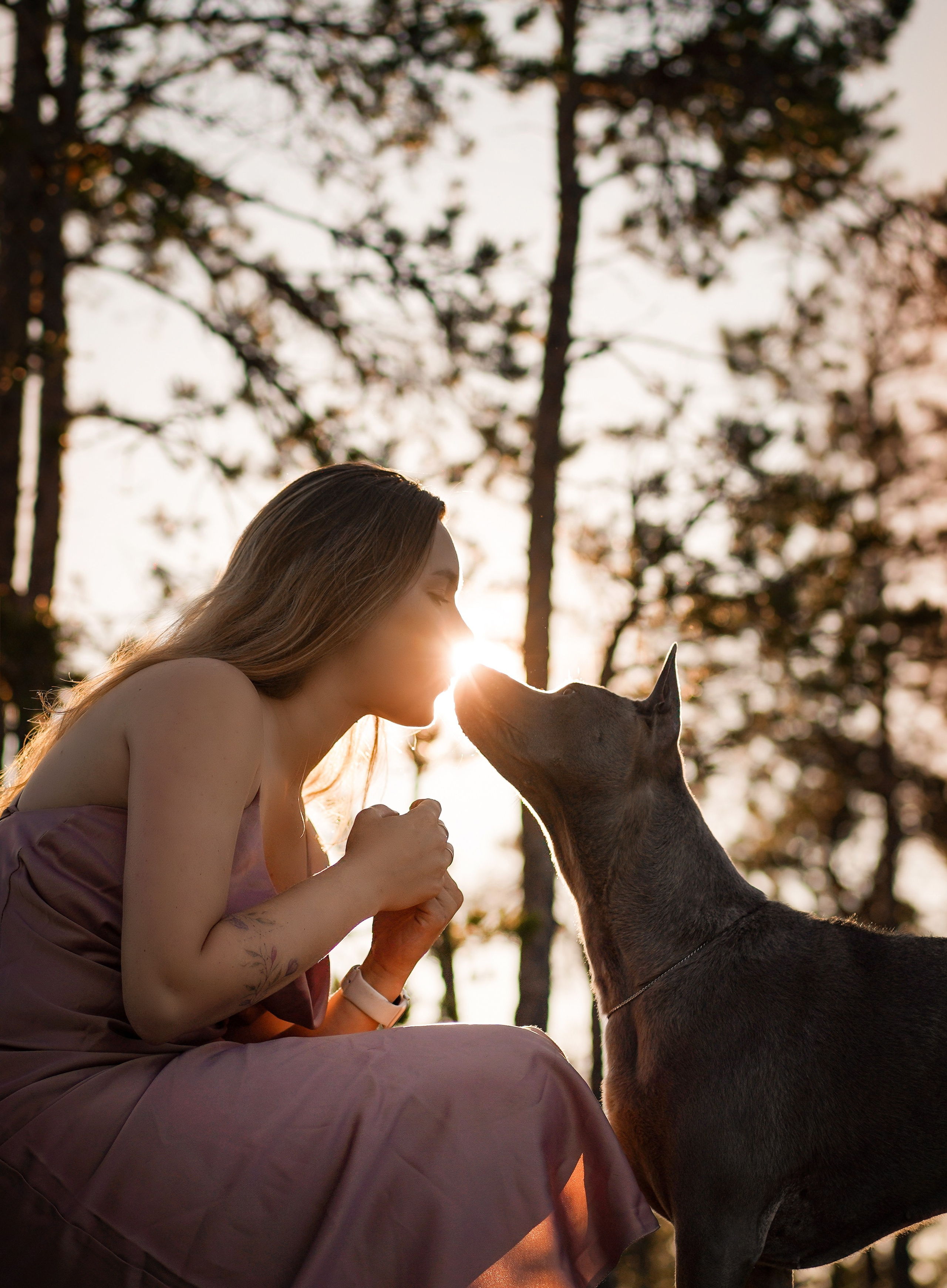 Даша Фифа Гага и Вениамина. Фотограф-анималист в Санкт-Петербурге Яна Мартынова