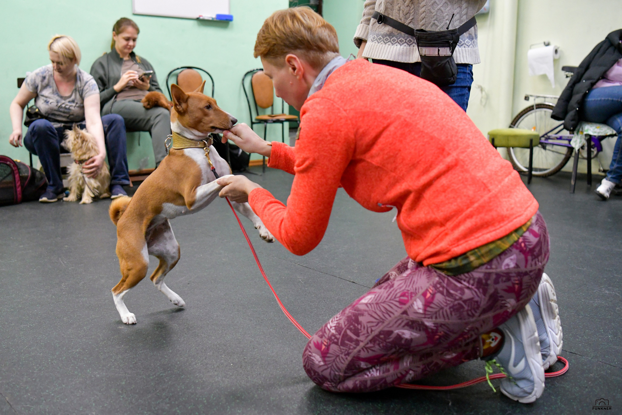 Кинологический клуб «Бодрый хвост». Свой взгляд через объектив