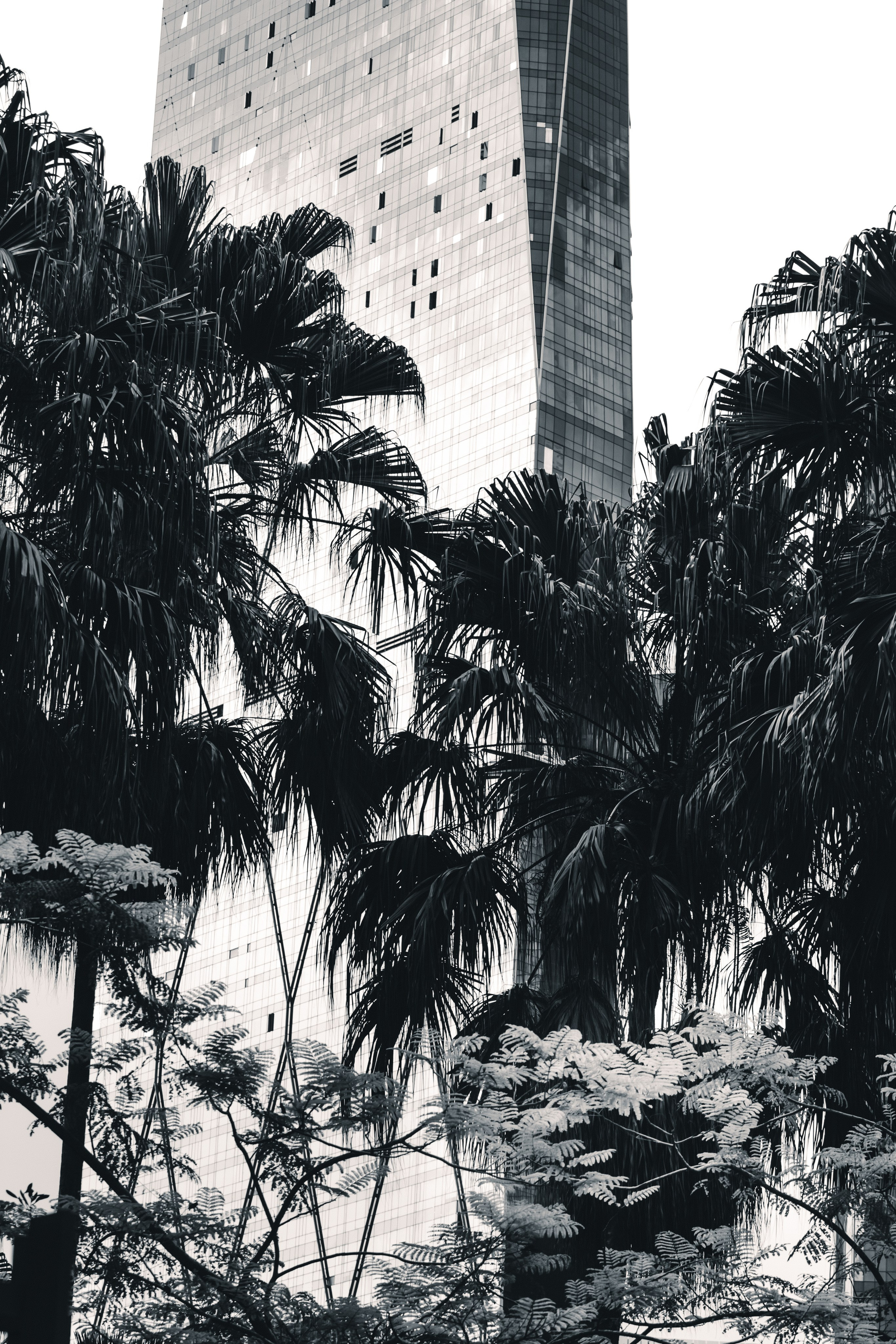 Malaysia. ДарияГалямова — фотограф: открытый, творческий, коммерческий