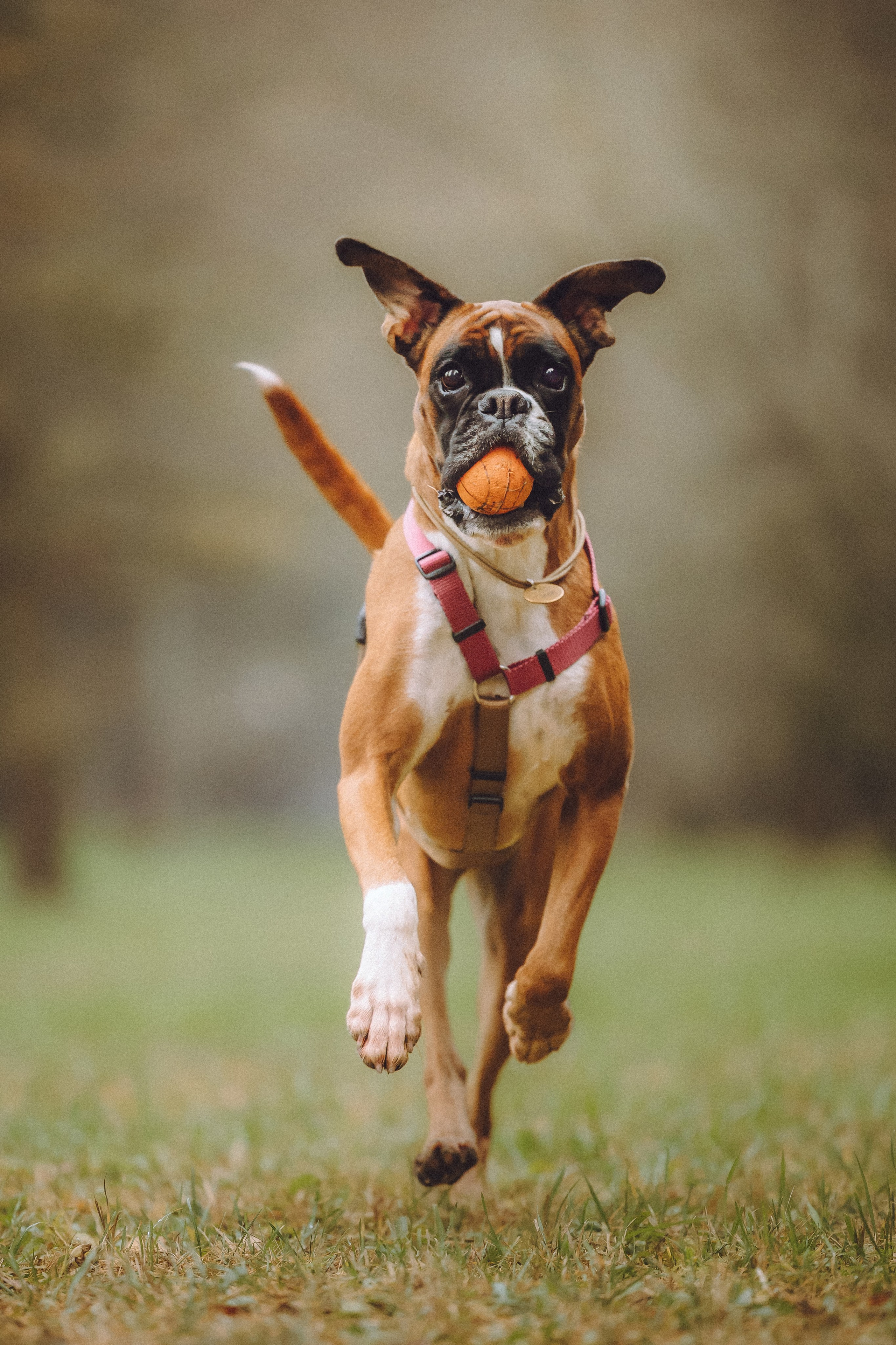 Элли и ее семья