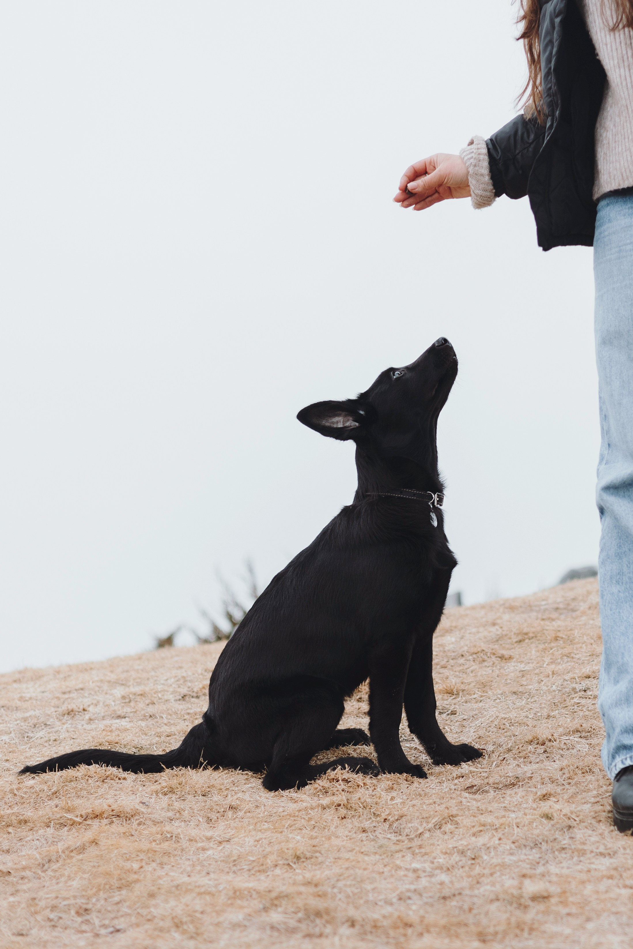 Ксения и Юта. Фотограф — анималист Владивосток, Алина