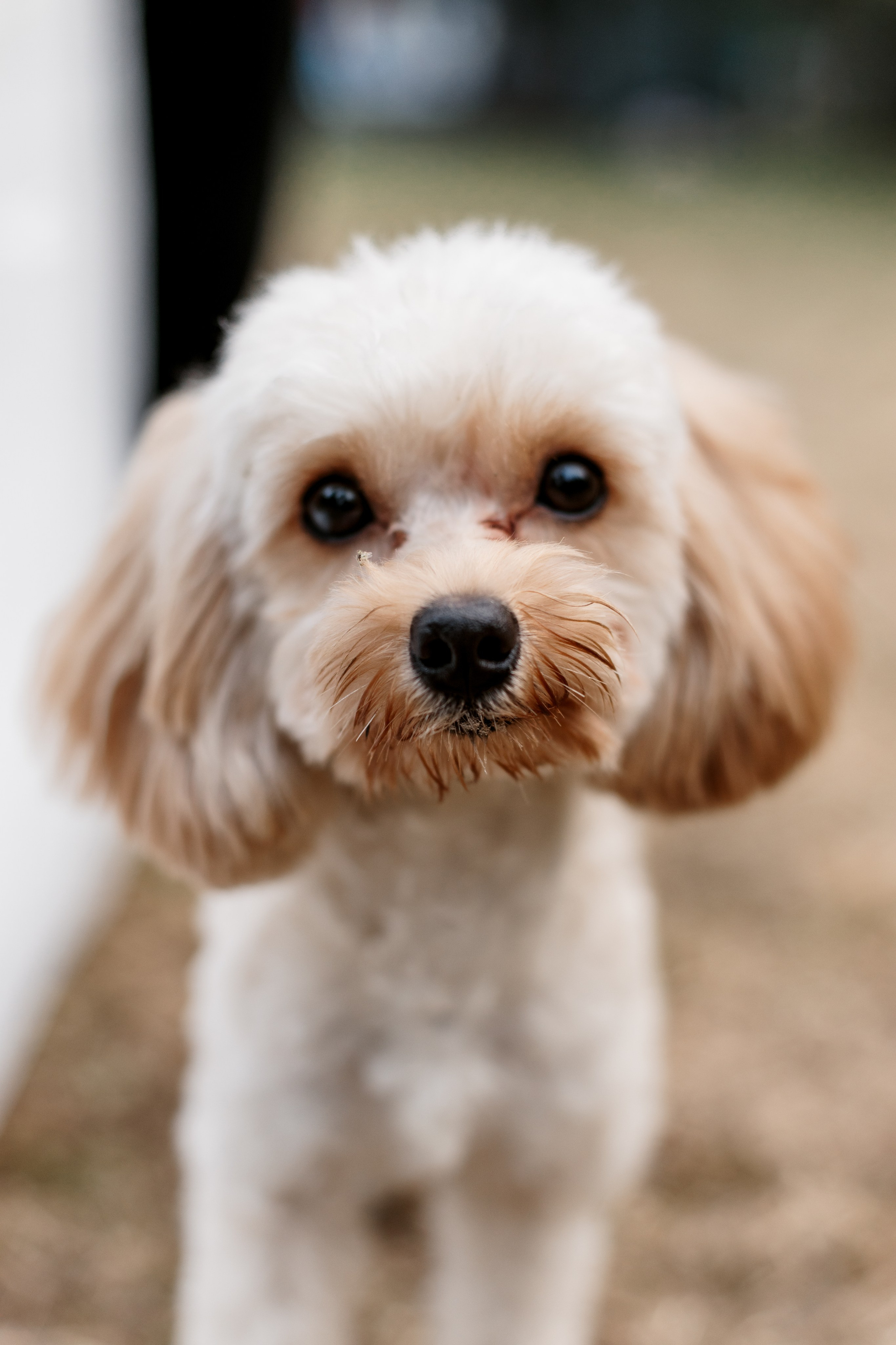 Alëna&Sergei. Свадебный и семейный фотограф Екатеринбург Настя Саедгалина