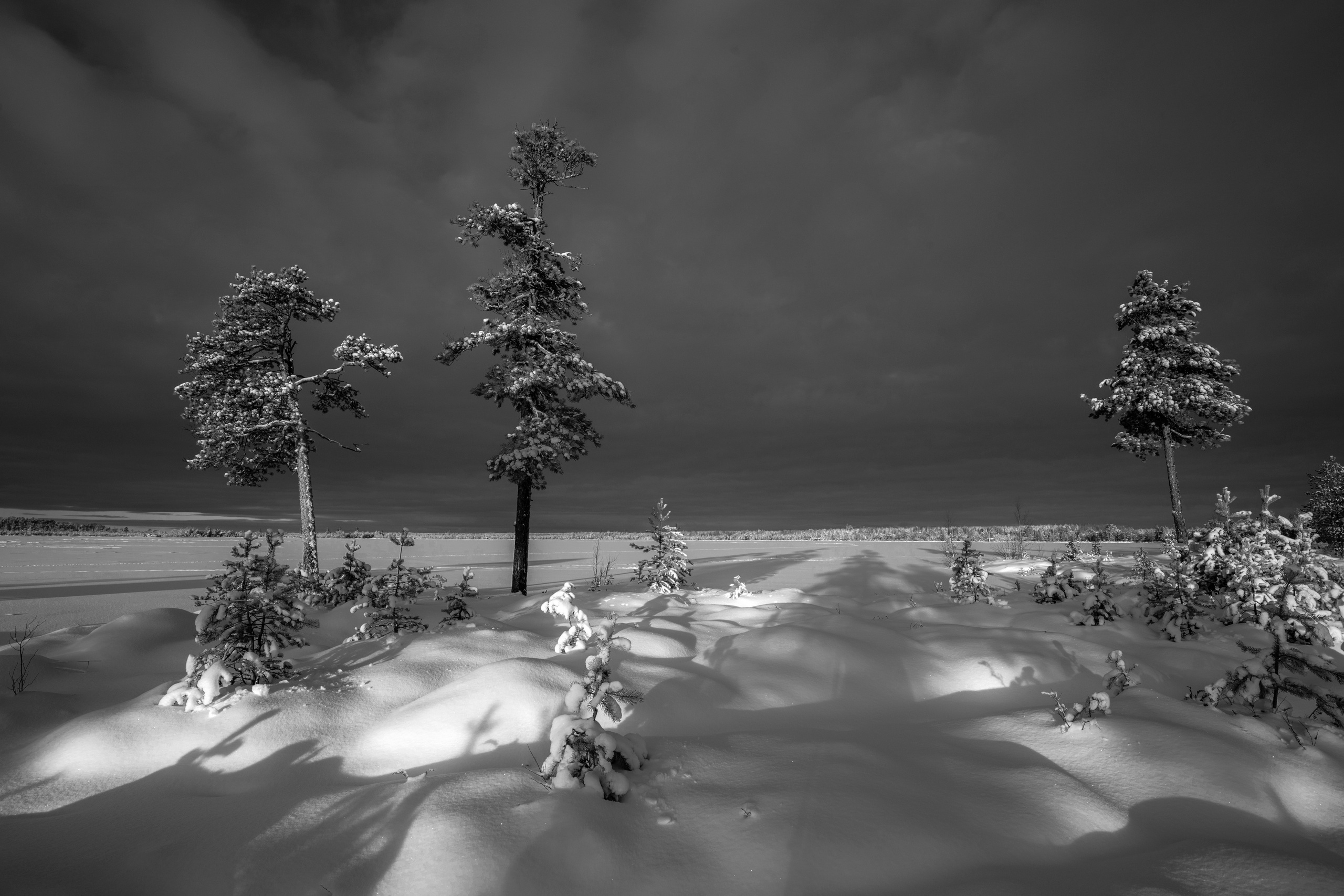 Черно-белые пейзажи. Фотограф Татьяна Борисова