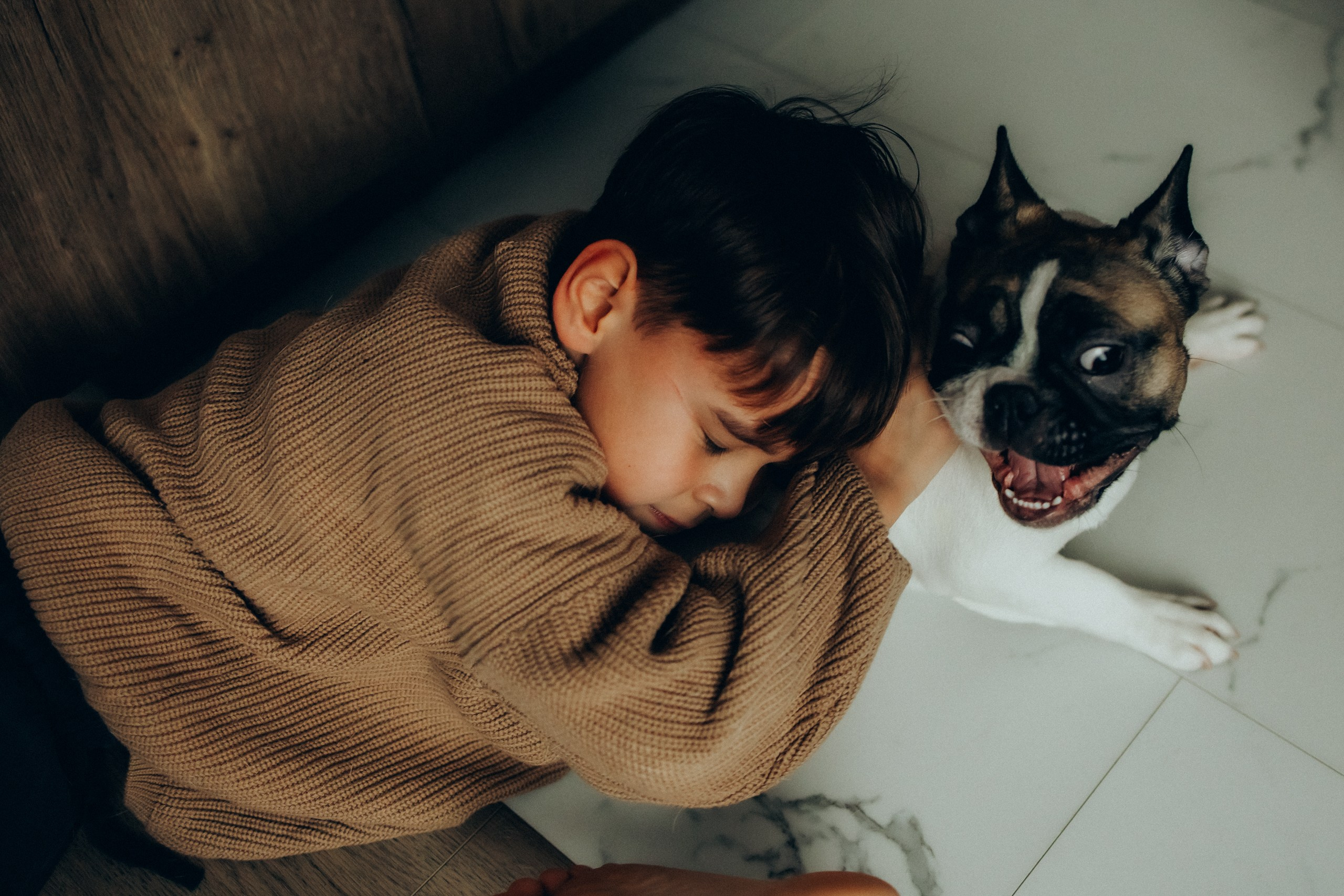 Руслан, Тимур и Луна. Семейный фотограф Москва