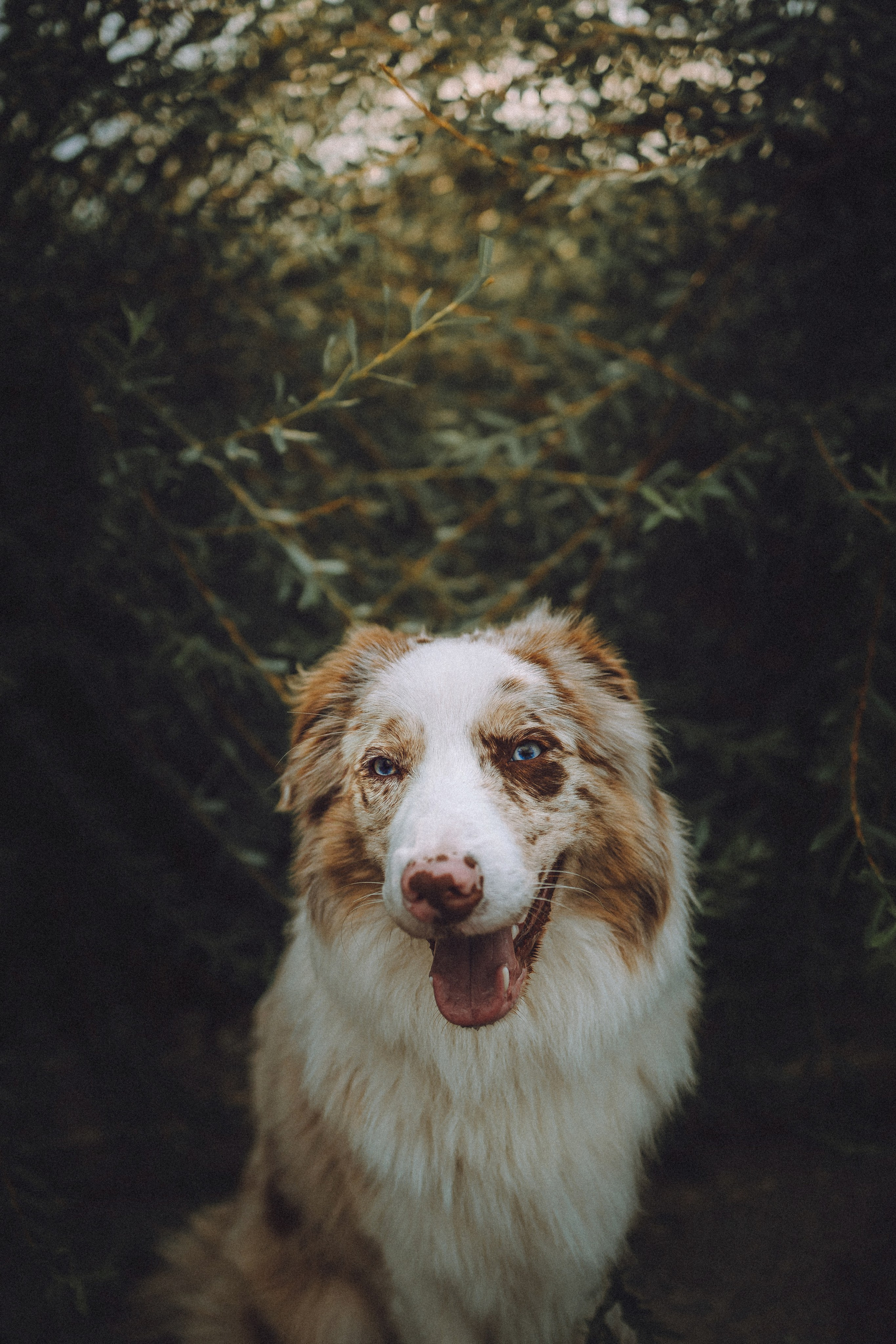 Один и его семья