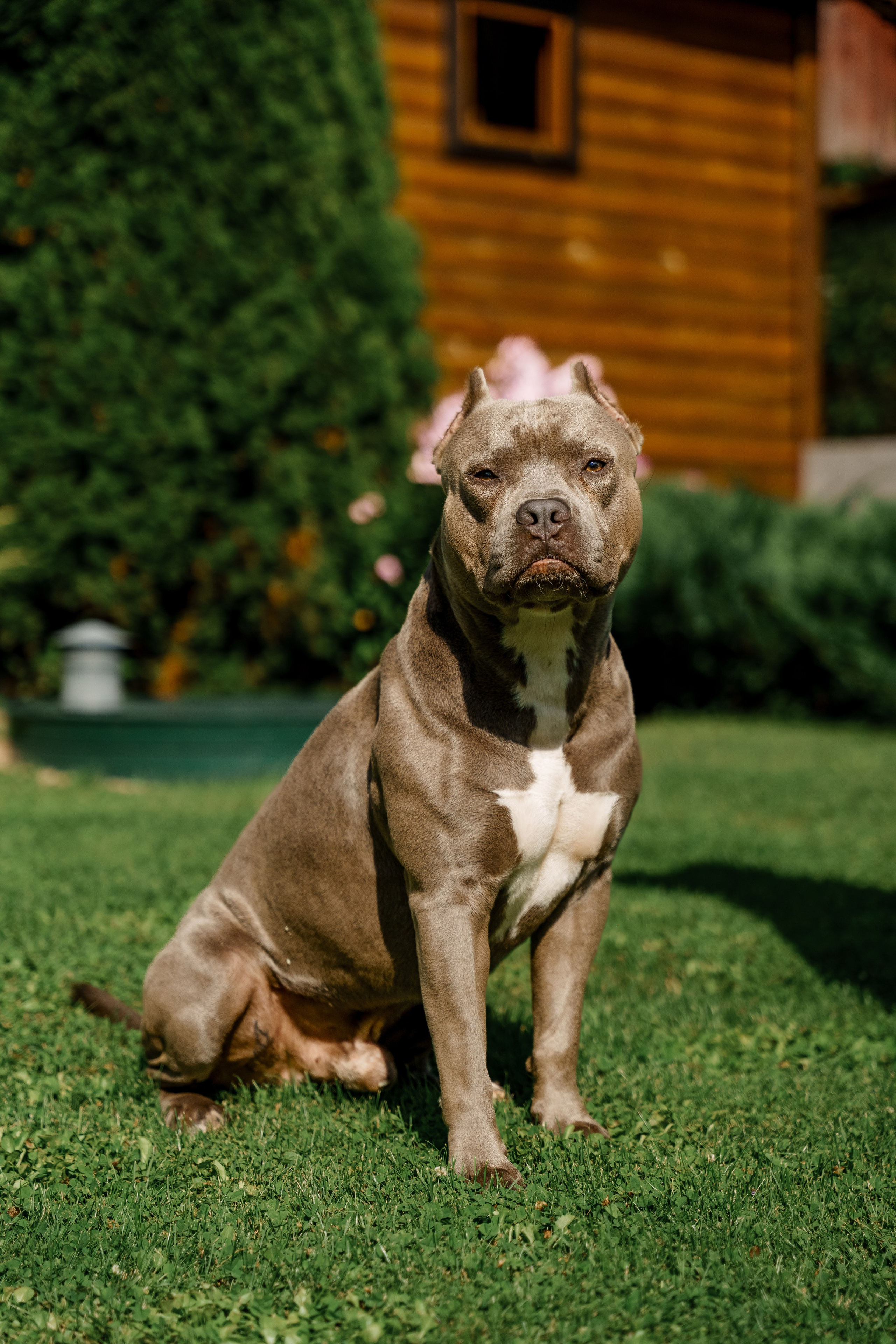 Ева 1 год. Станислав Тюрин Фотограф Москва. Индивидуальные и семейные фотосессии;