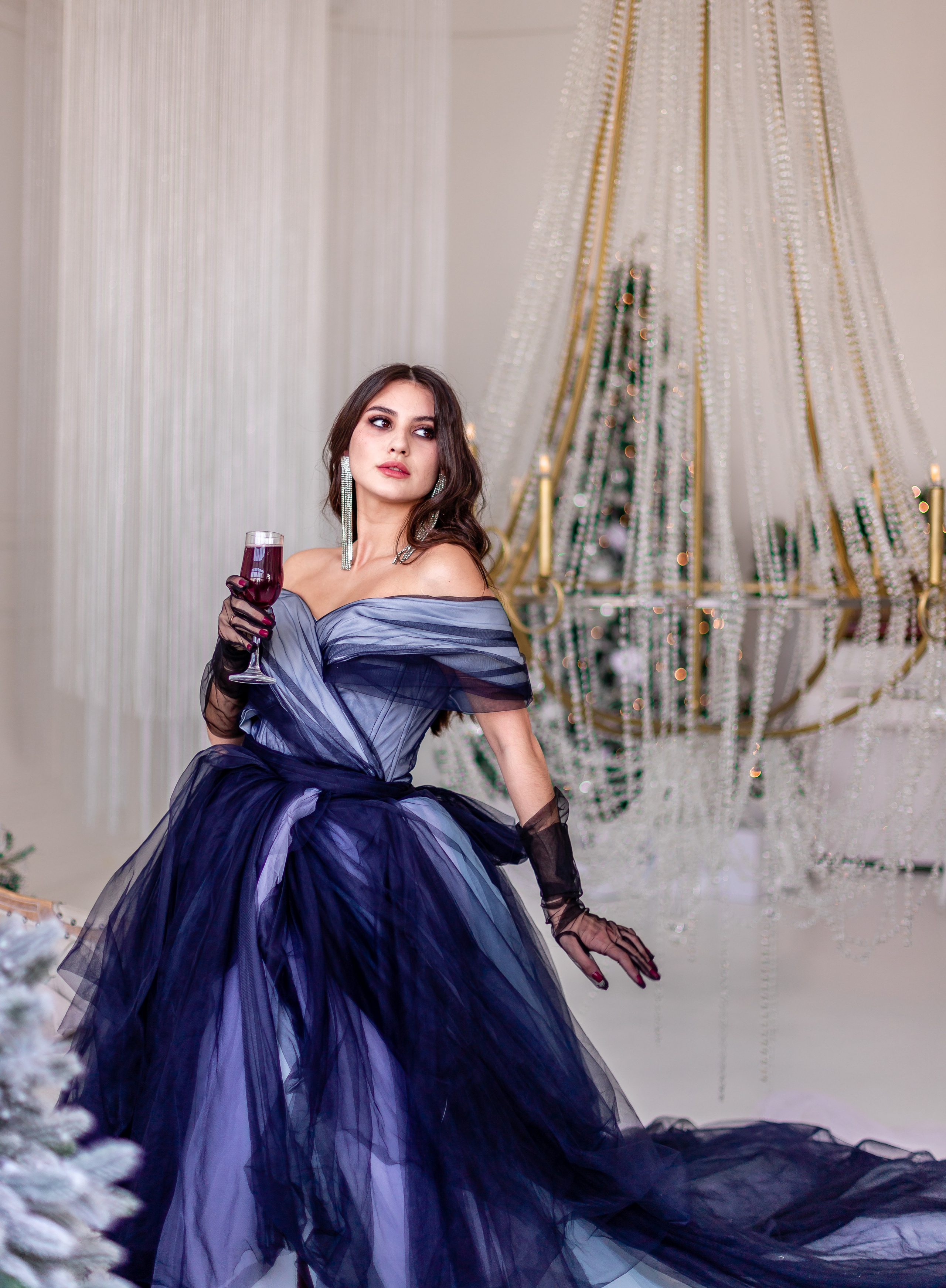 Фотосет Ренессанс Новогодний. Семейный и детский фотограф в Хабаровске Алевтина Проскурякова