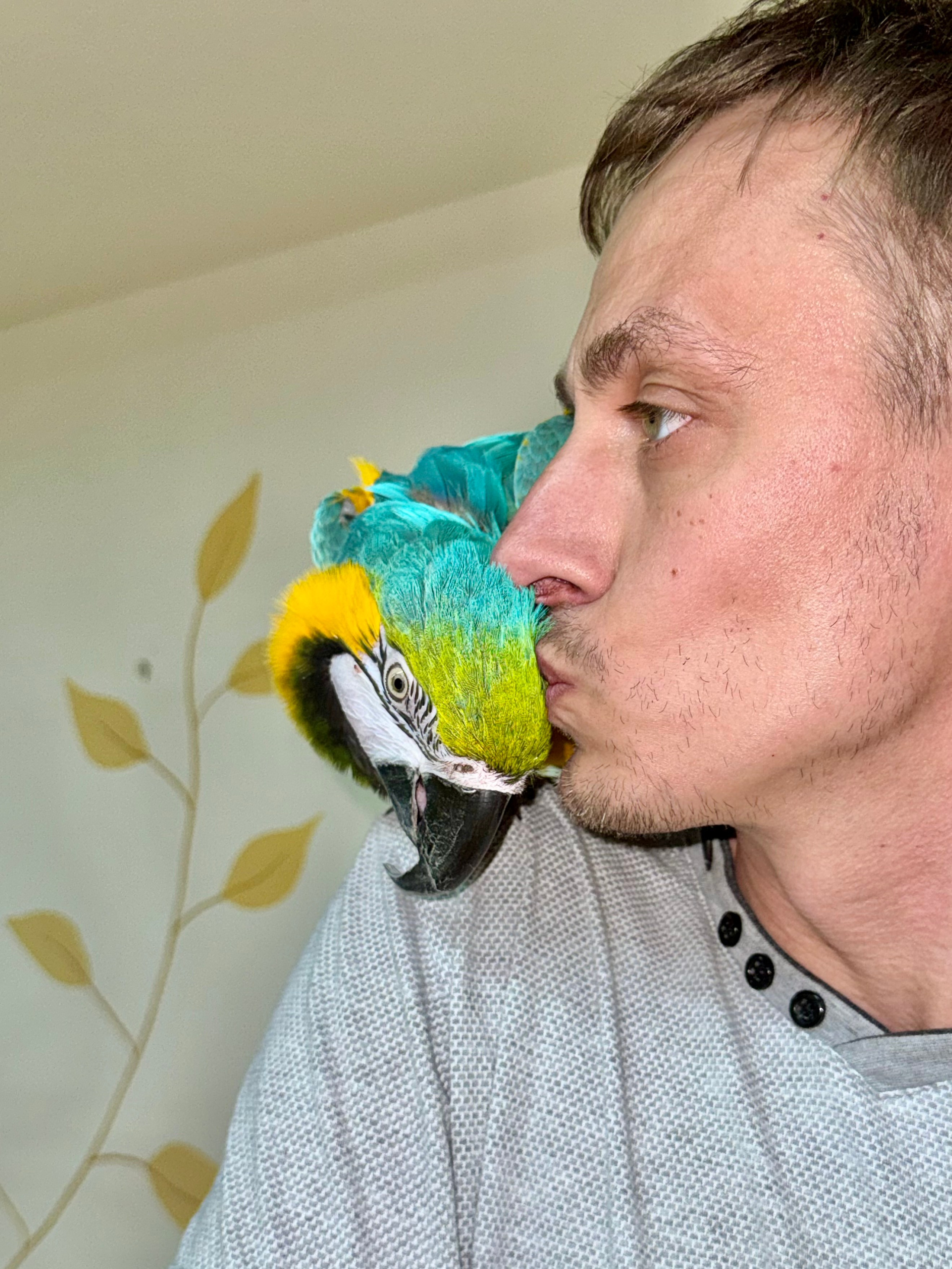 Попугайчики и детки. Фотограф и видеограф Апокина Мария Москва