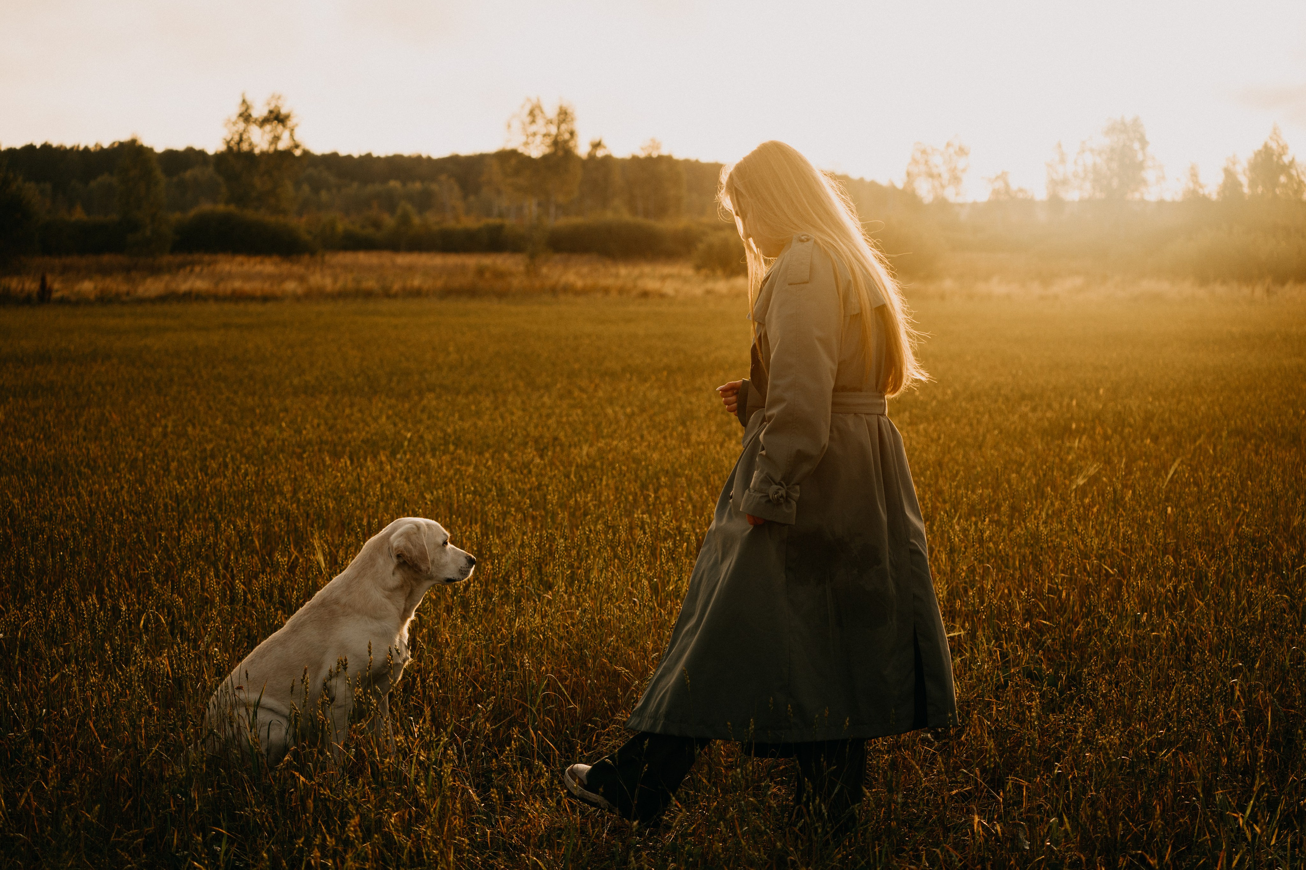 Дана и Арчи. Фотограф-анималист Анастасия Большакова