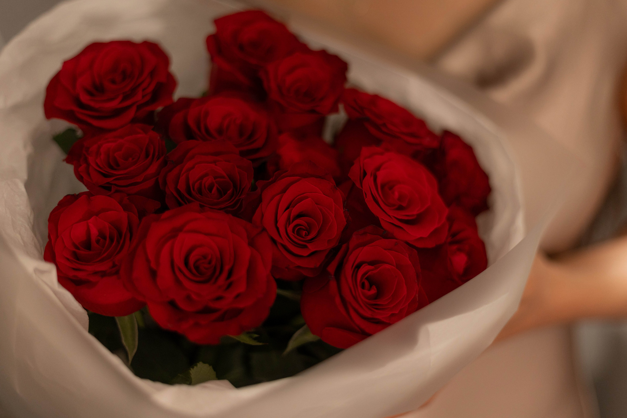 Индивидуальные фотосессии. Евтушенко Кирилл Фотограф | Абакан