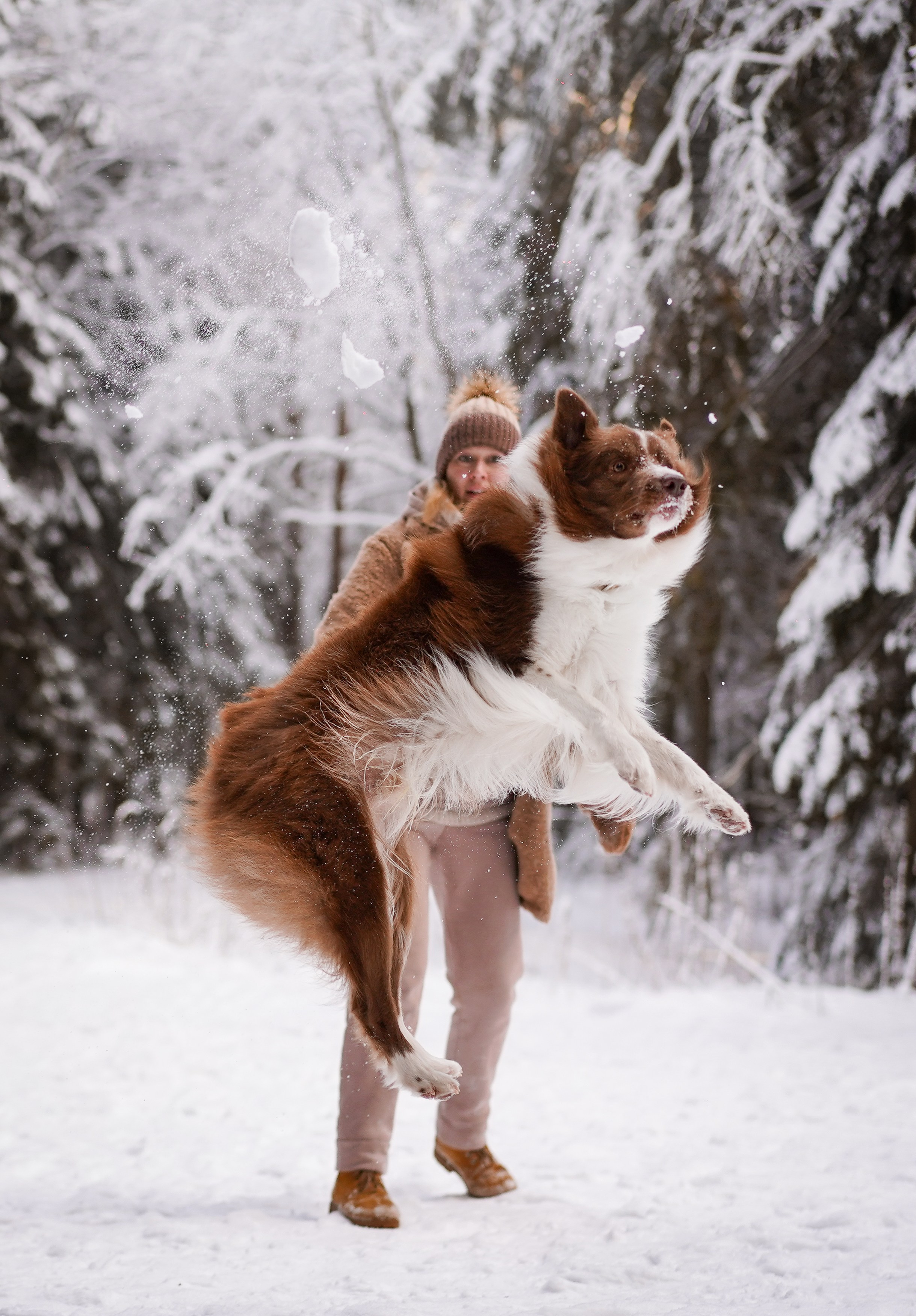 Катя и Ская. Фотограф-анималист в Санкт-Петербурге Яна Мартынова
