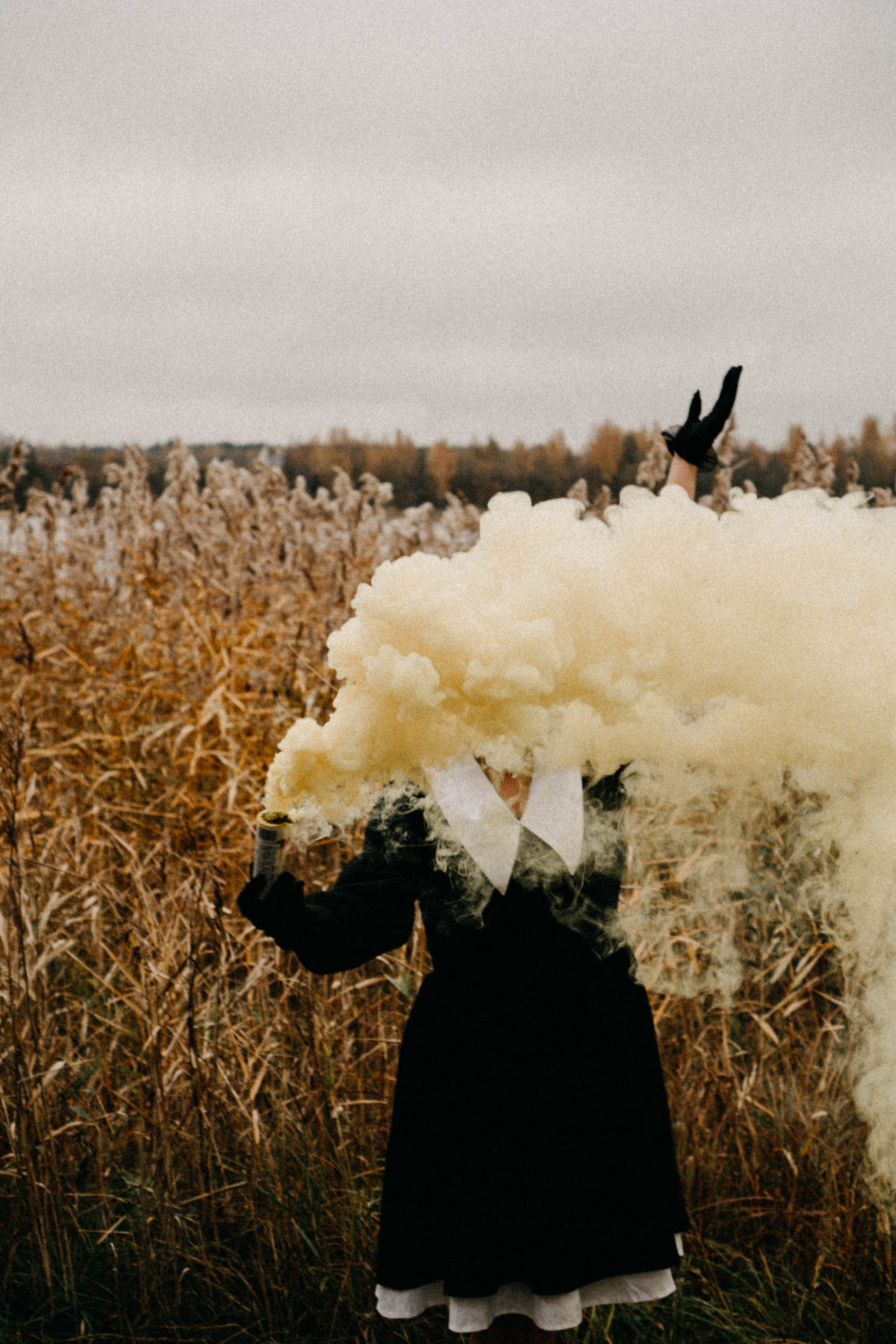 Осеняя. Профессиональный фотограф, Санкт-Петербург — Виктория Богомолова