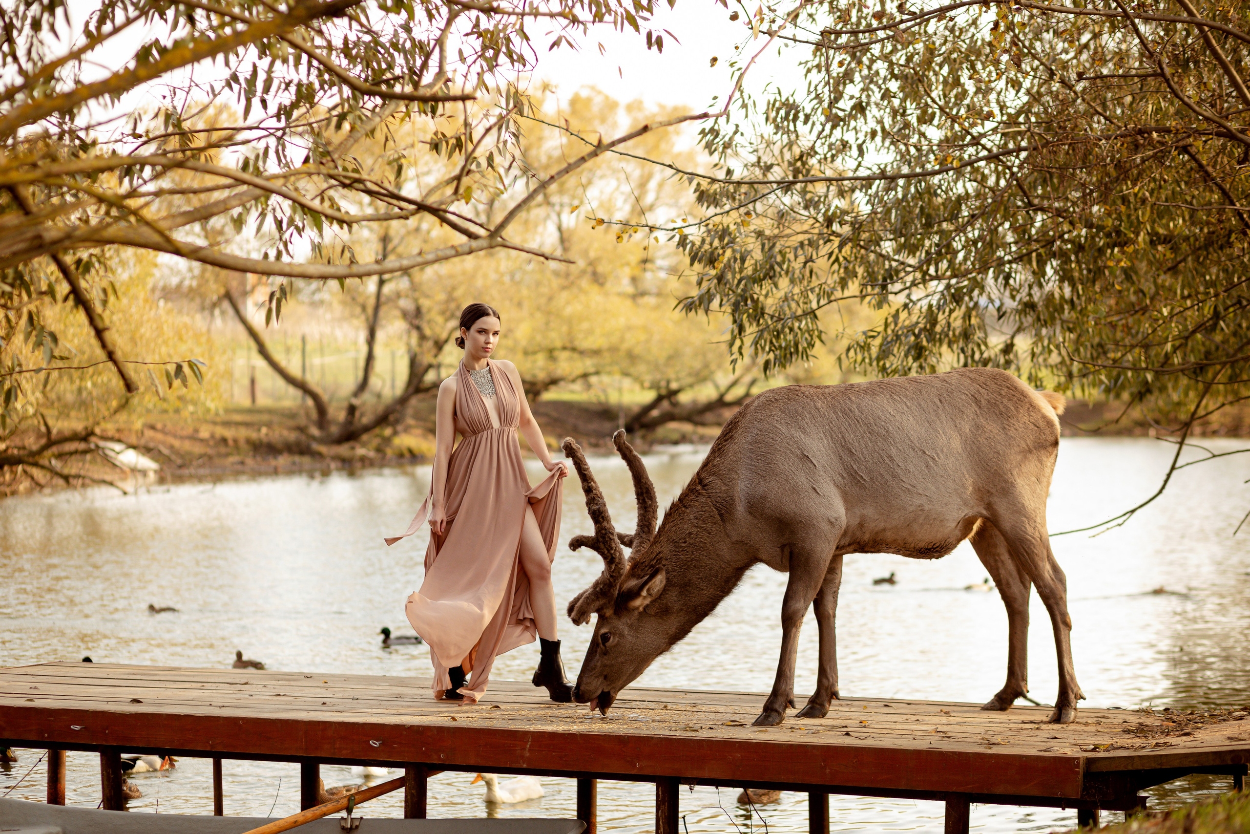 Девушка стоит на деревянном мостике над озером рядом с оленем.
