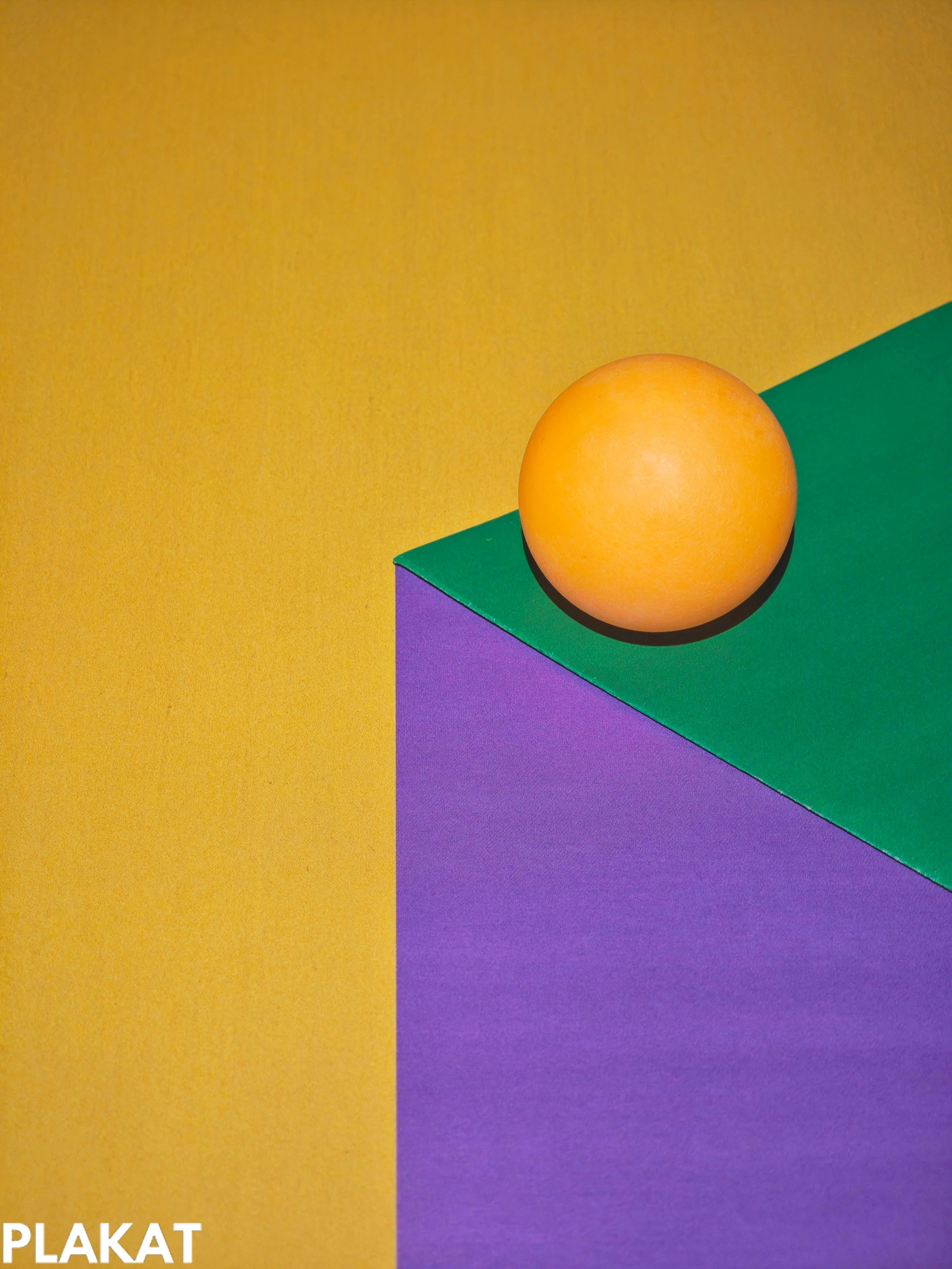 @danilovanatalia2016