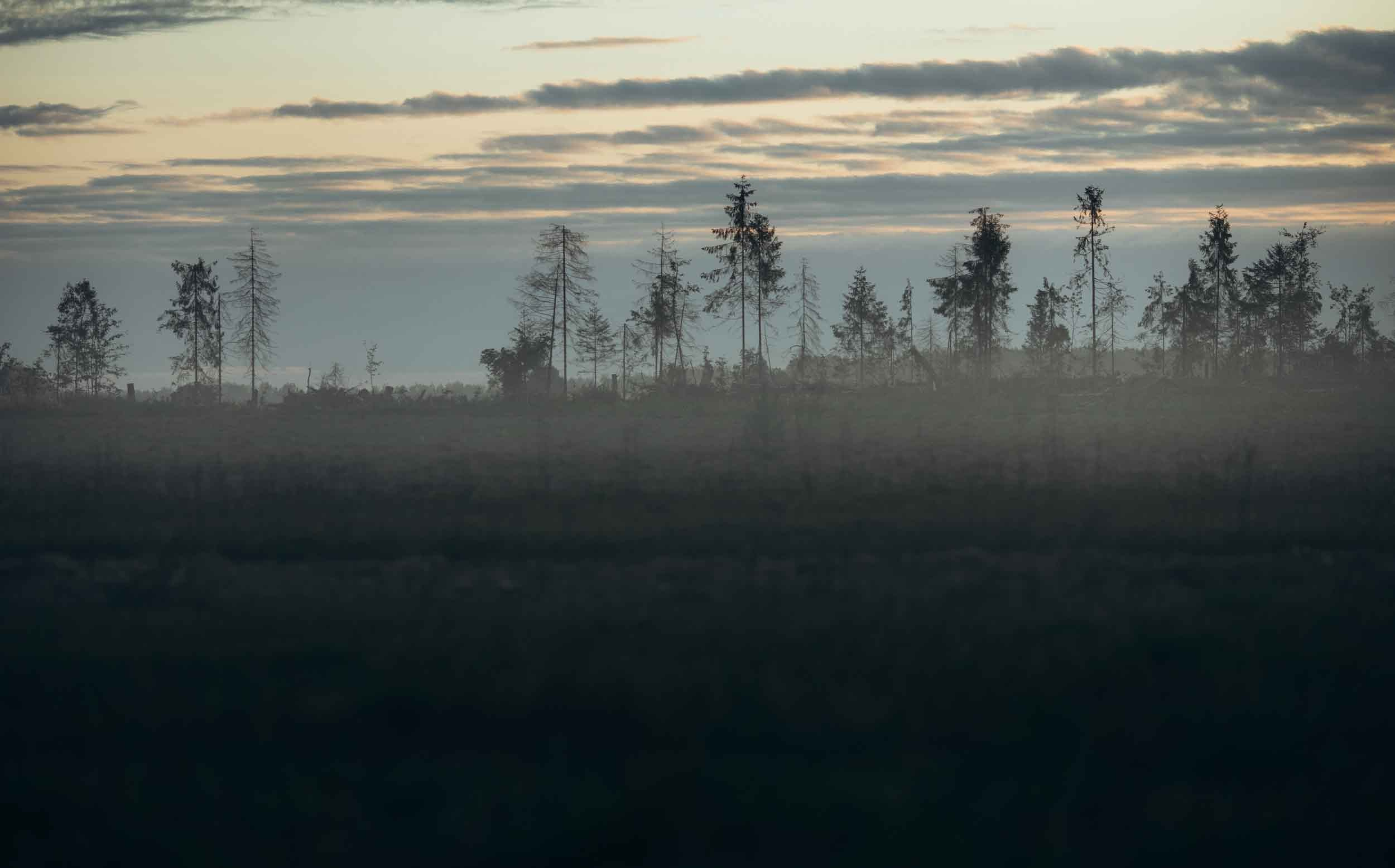 Природные пейзажи. Наталия Клевинскас портретный фотограф в Костроме