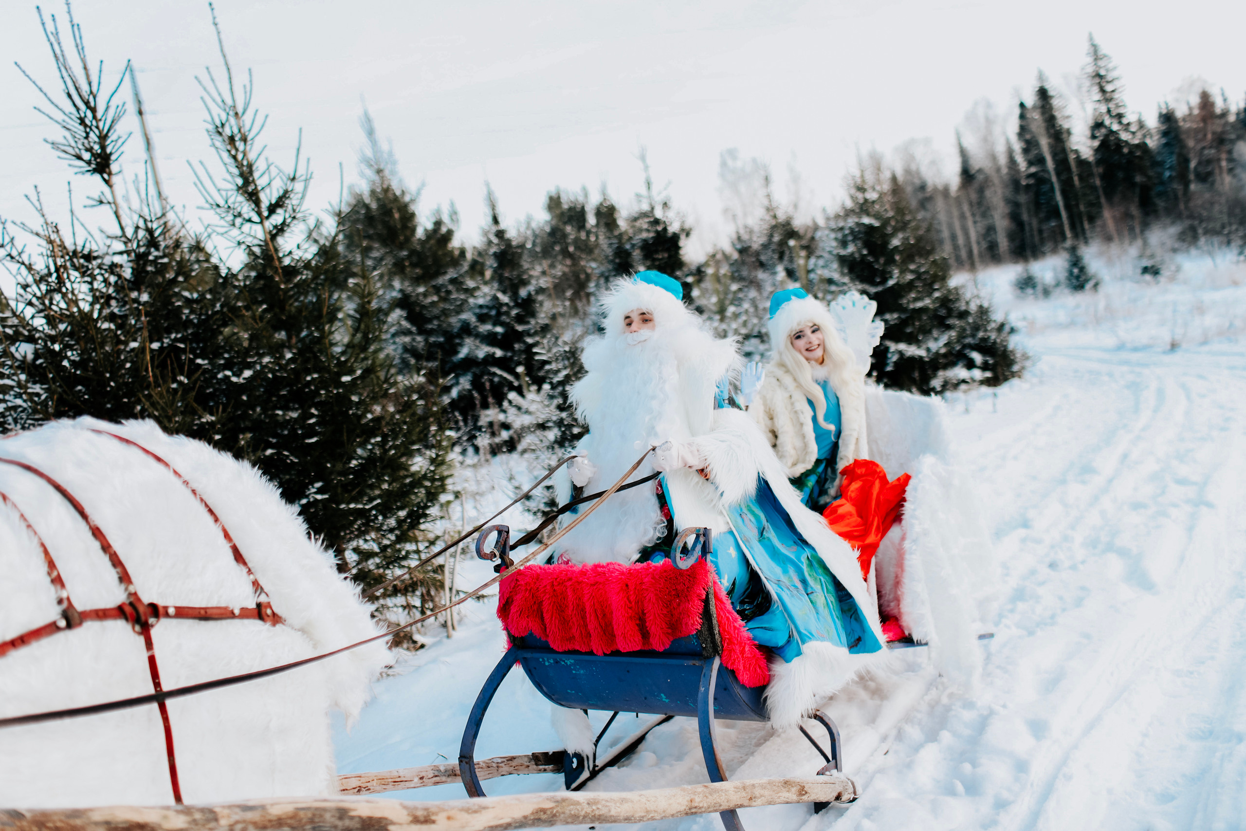 В гостях у Деда Мороза. Фотограф Томск Скавронский Даниил