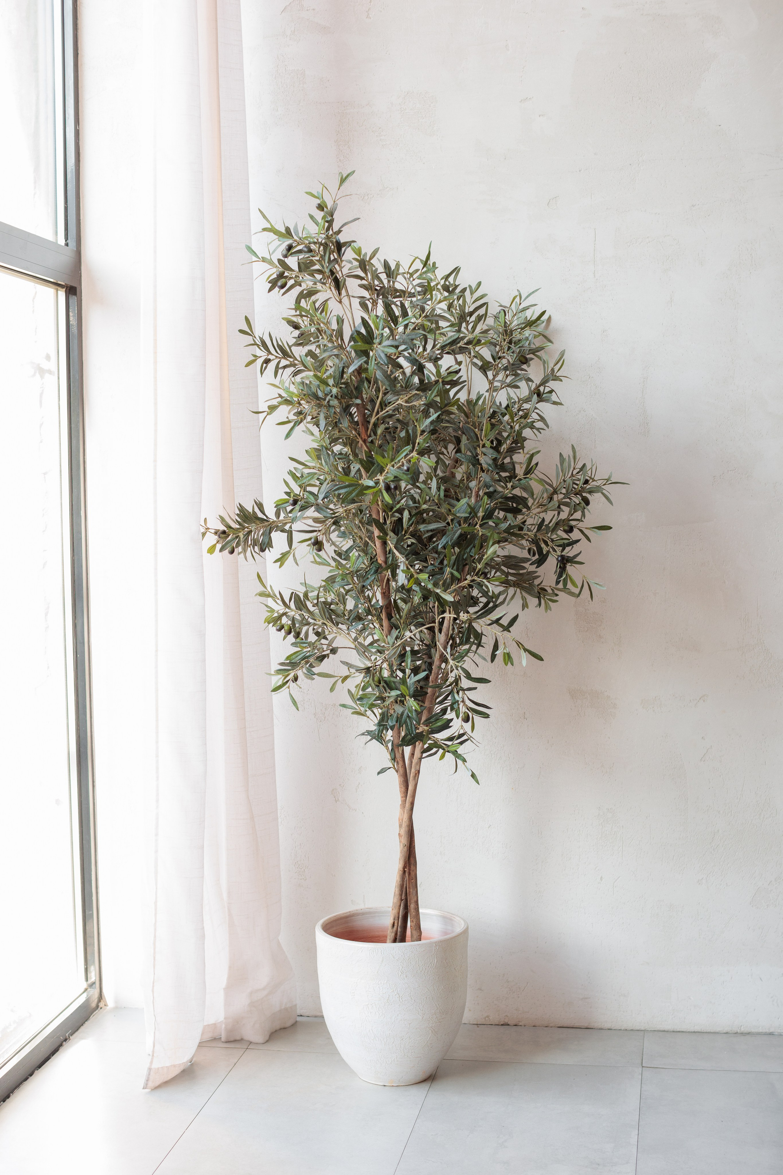 ФУДЖИ. Фотосессии в фотостудии Мимика Москва