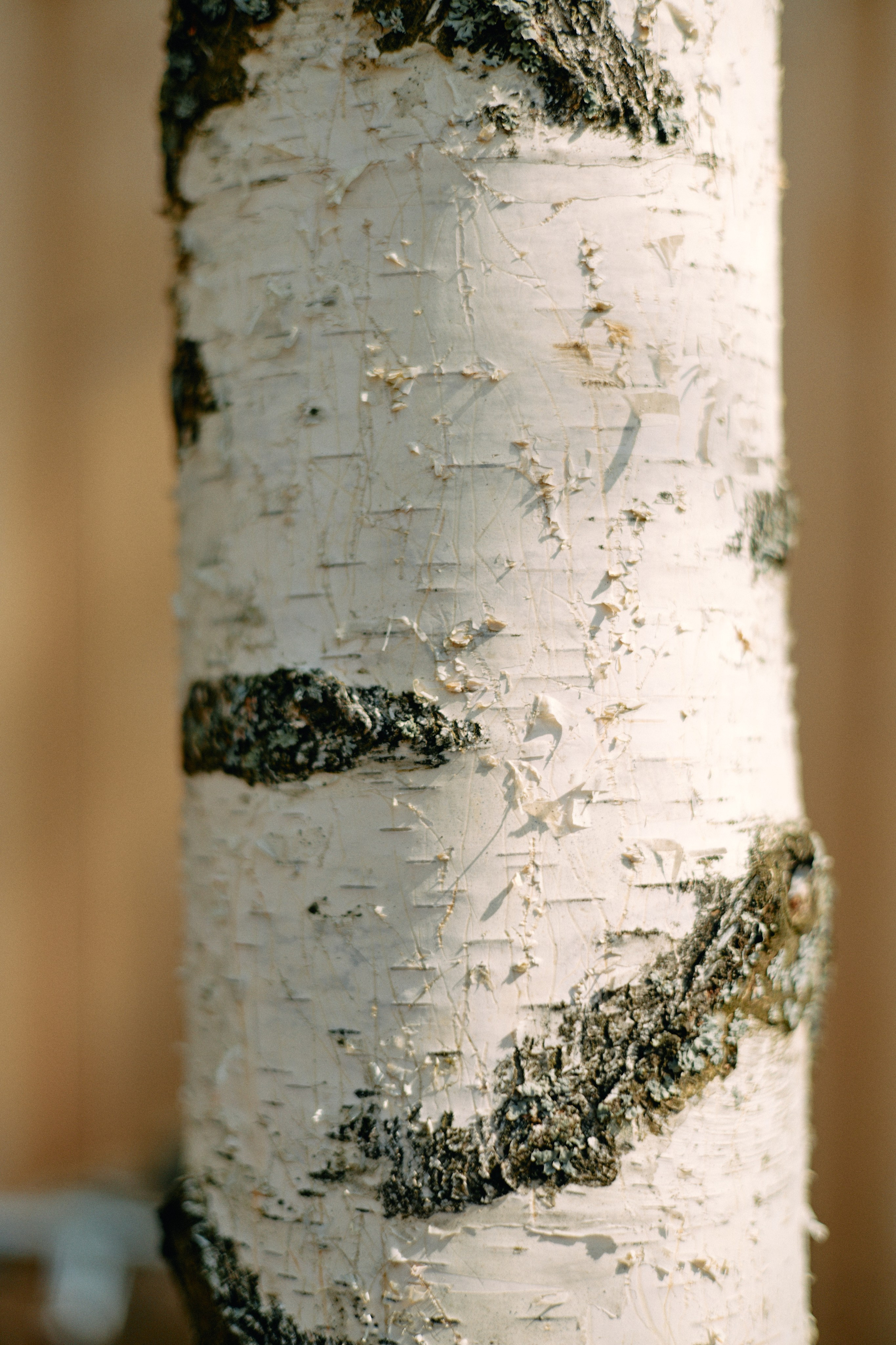Бутик-отель Поле летом. Профессиональный Фотограф во Владимире, в Москве и в Суздале — Полина Романычева