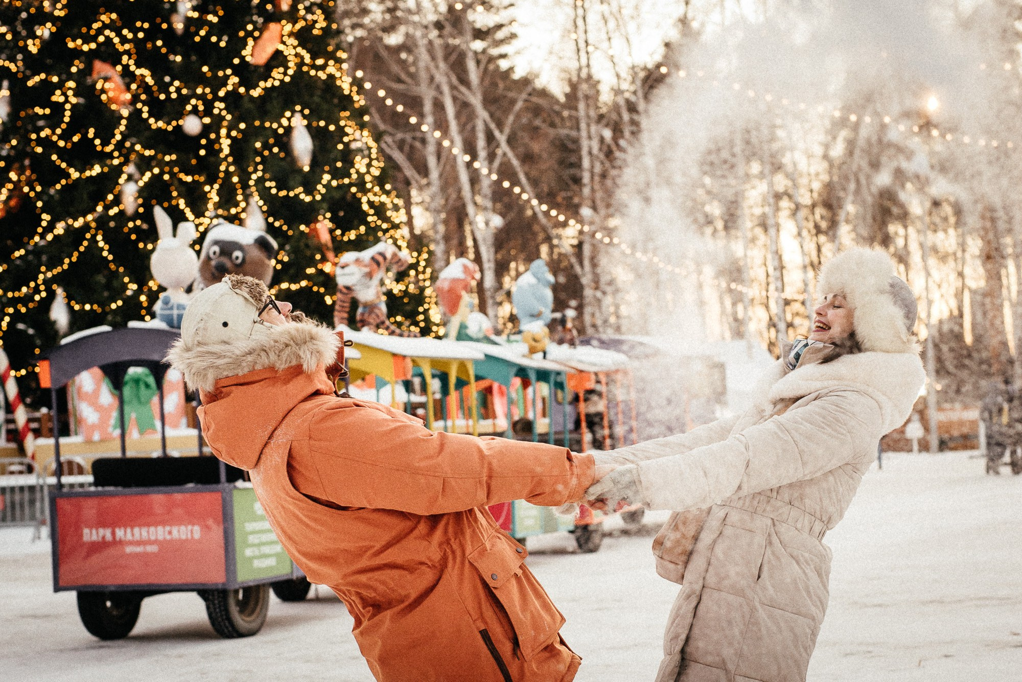 Зимняя семейная история