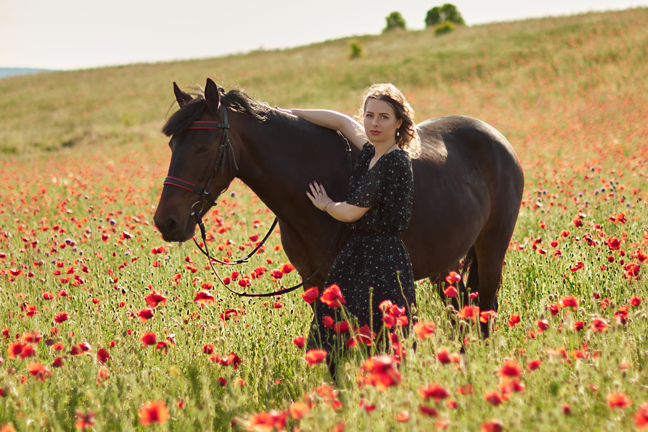 Фотосессия с лошадью Севастополь. Фотограф в Севастополе