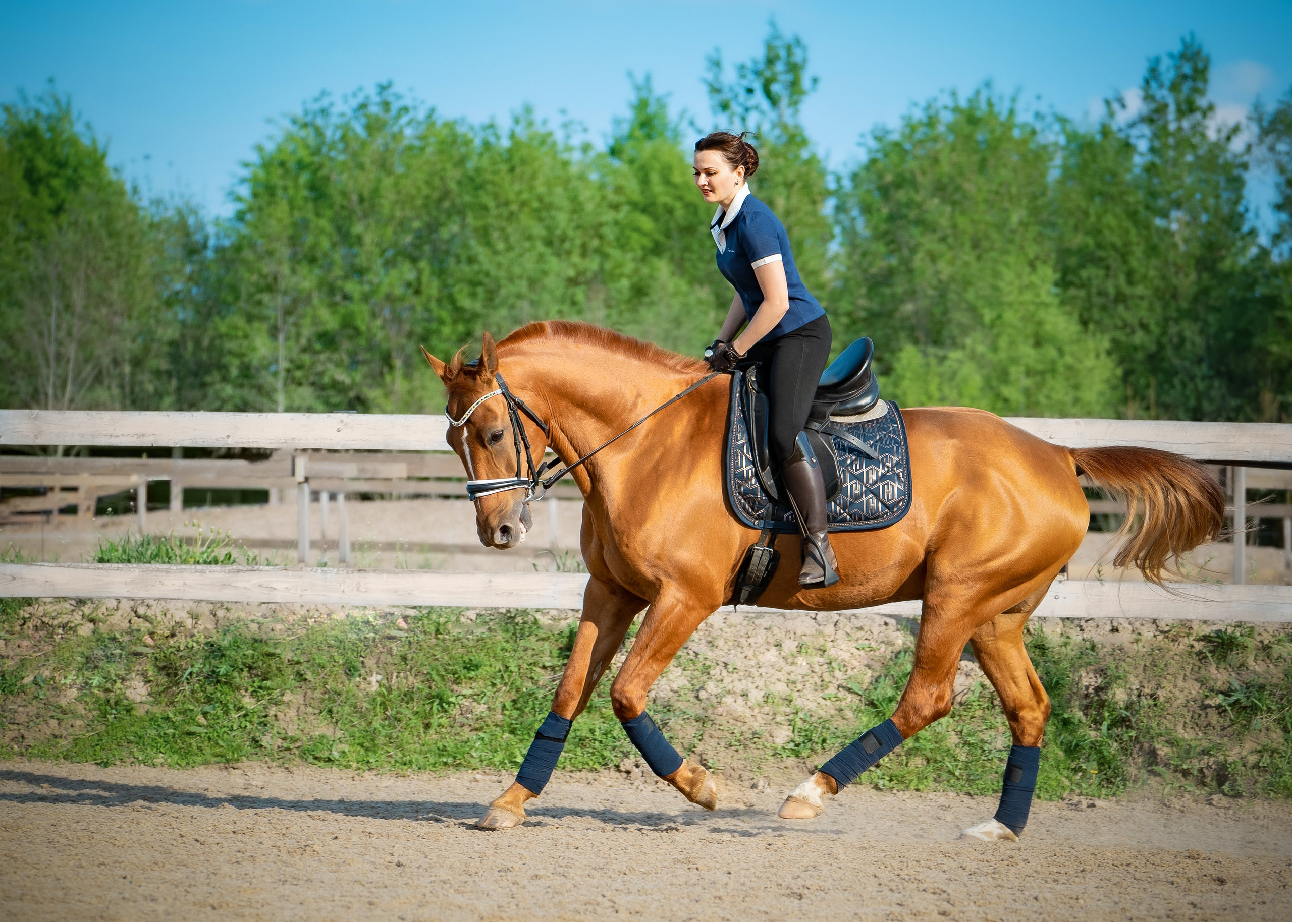 Тренировка. Фотограф Дарья Соколовская