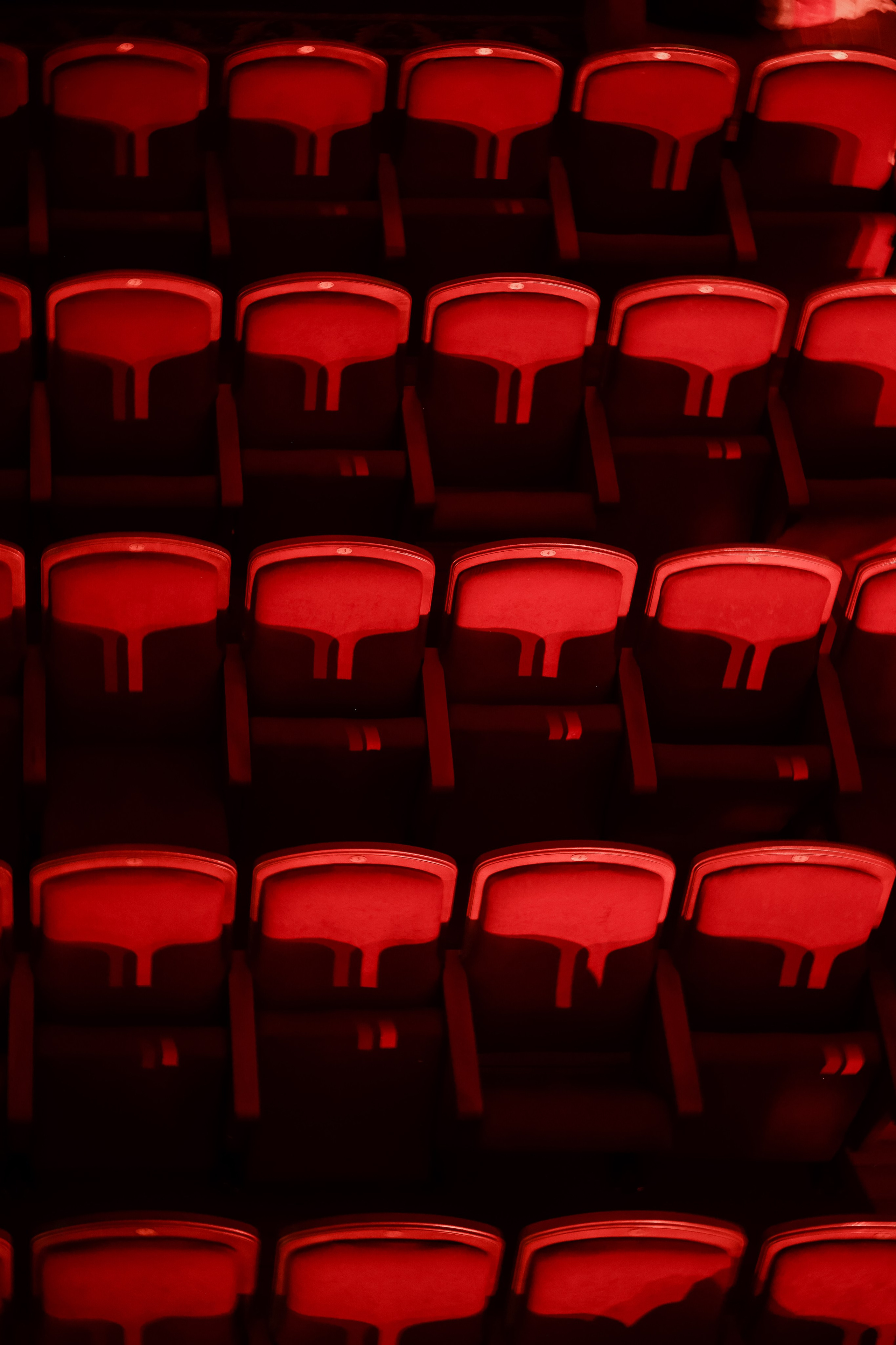 Репортаж концерта Яна МКР. Свадебный и семейный фотограф Москва Екатерина Верижникова