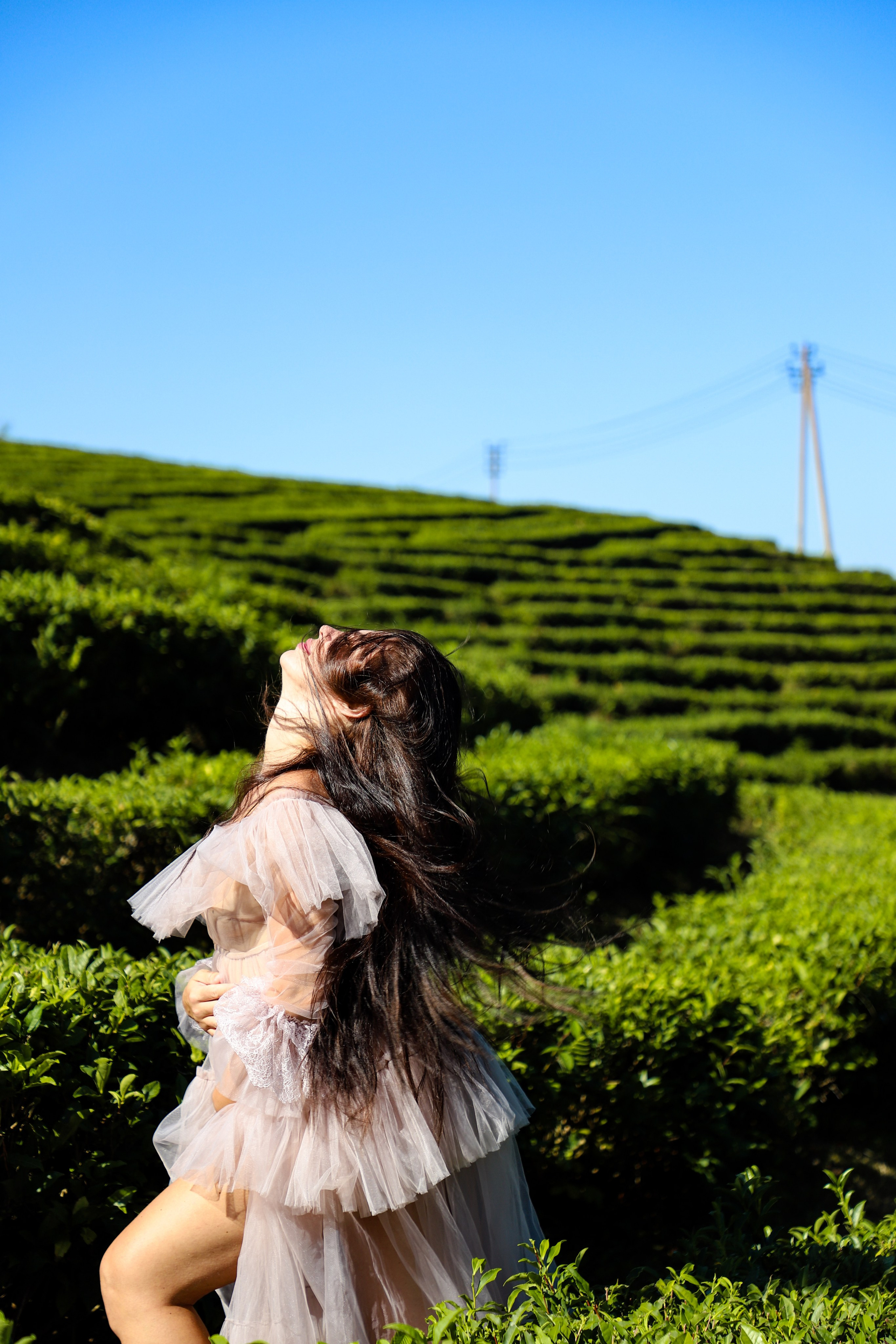 Беремняшка Мацеста чайные плантации 27.08. Главная