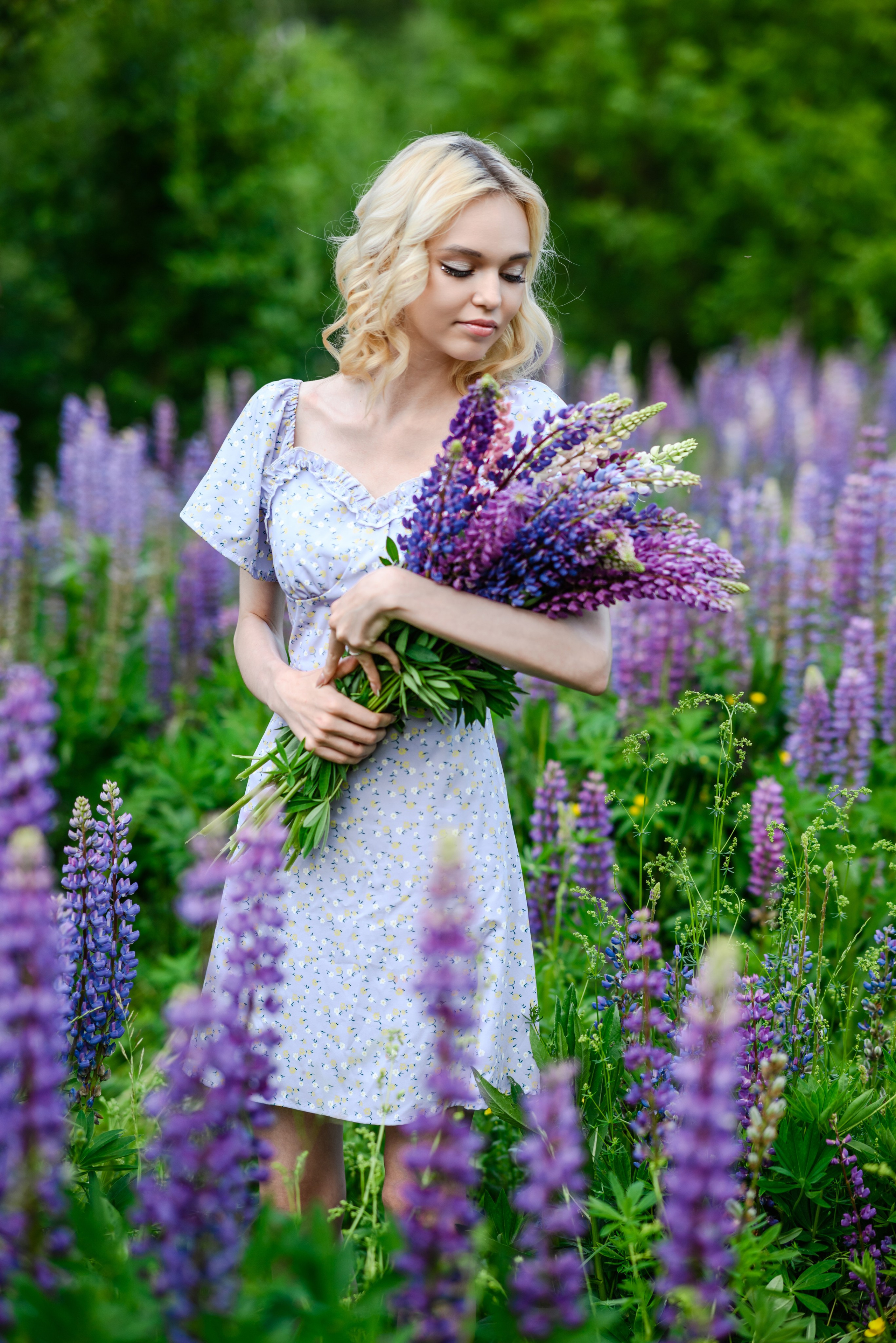 Владлена в люпинах. Свадебный и семейный фотограф в Дзержинске Екатерина Шулакова