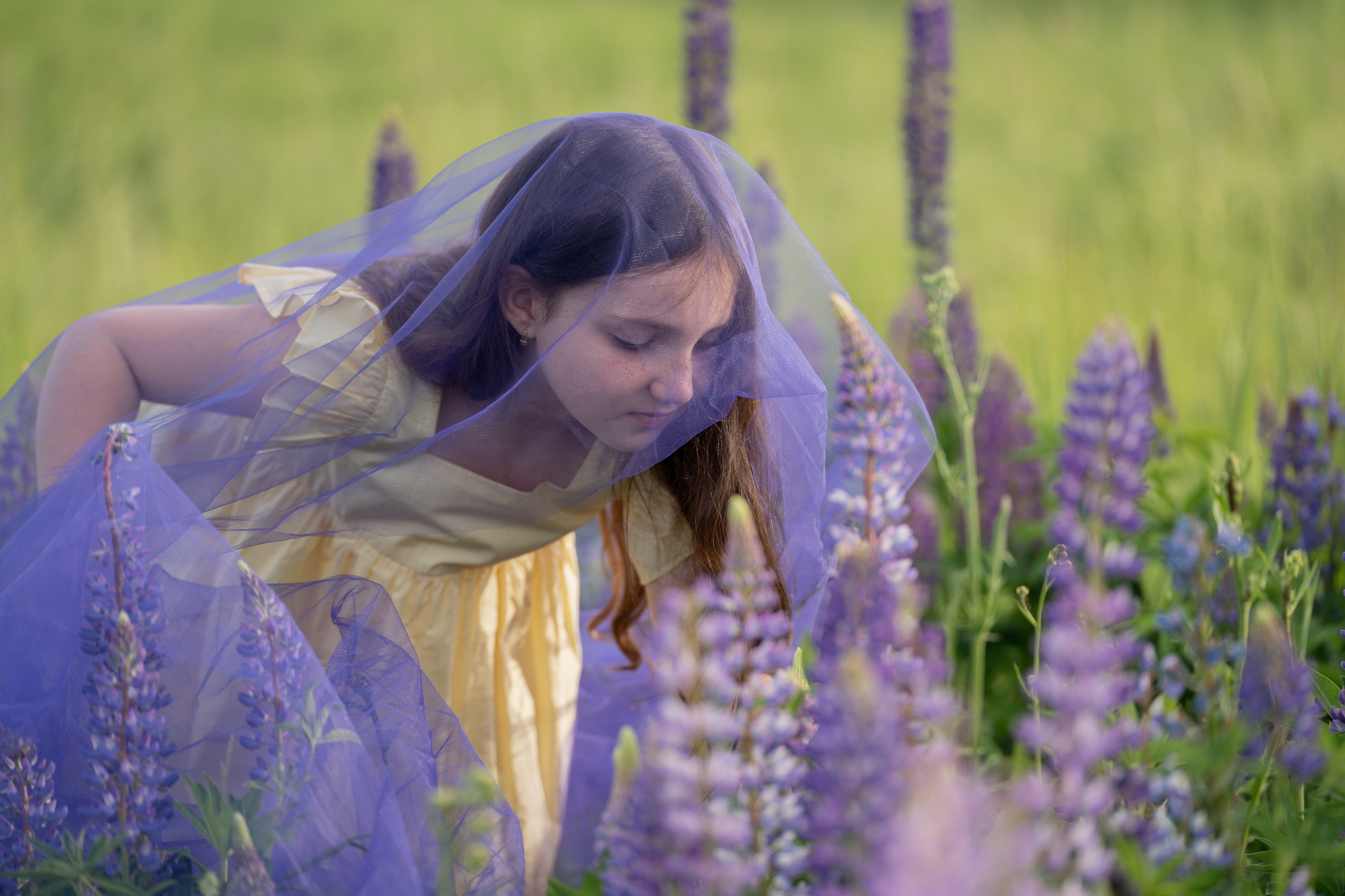 Детская фотосессия в люпинах. Портретный фотограф Олеся Владимирова в Москве