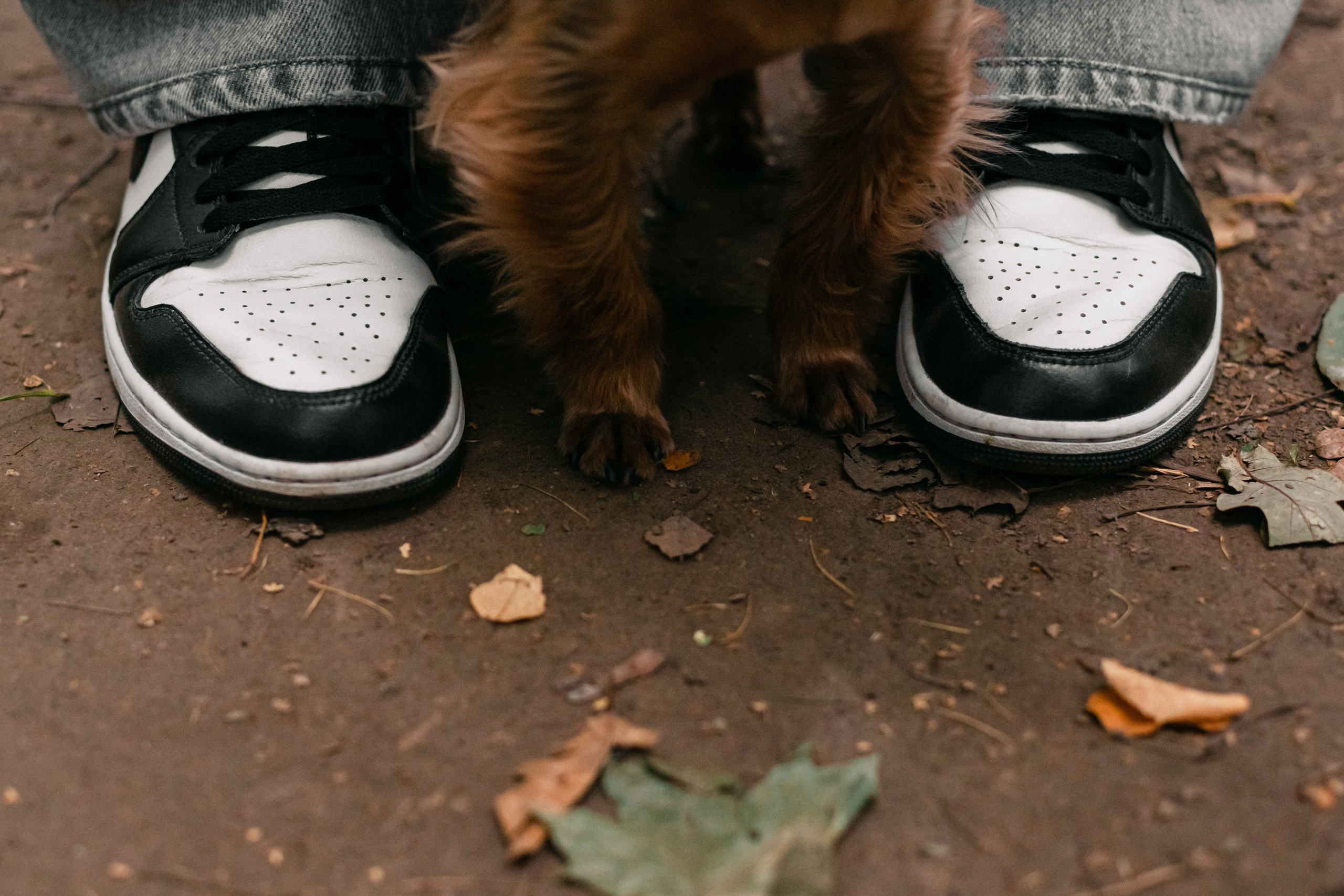 Катя и Моня. Фотограф-анималист Татьяна Степанова