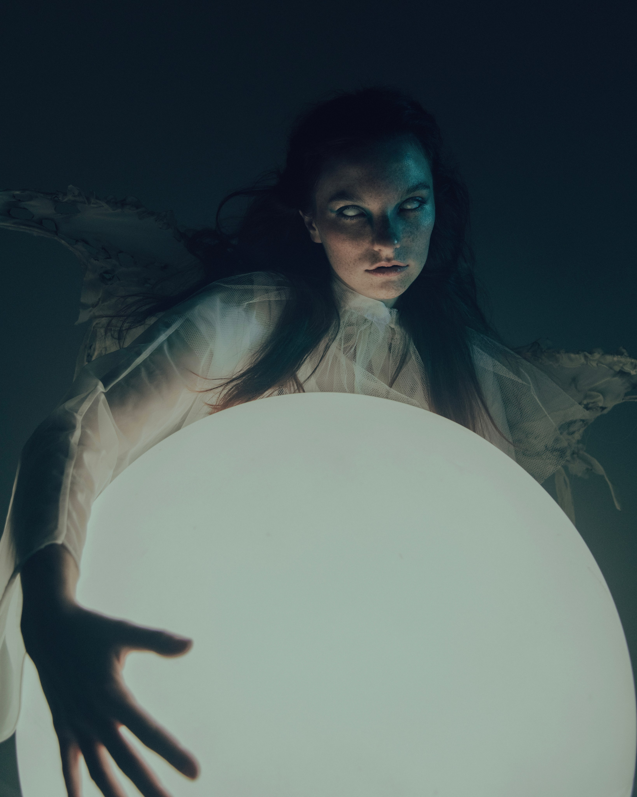 Мотылек. Фотограф Anita Mivchas