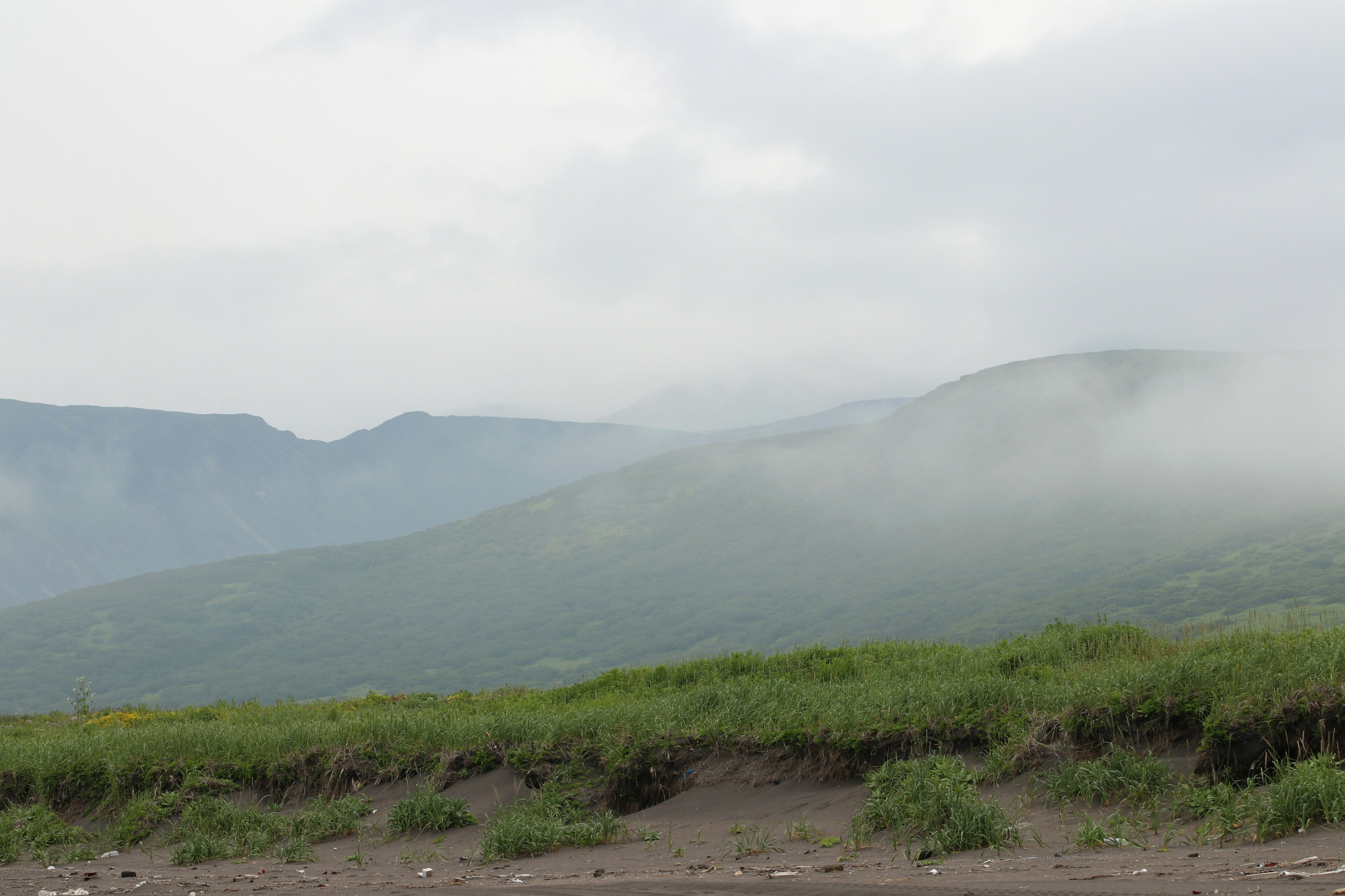 Камчатка и о. Парамушир. Июль 2024. Путешественник-фотограф из Санкт-Петербурга Татьяна Свистулина