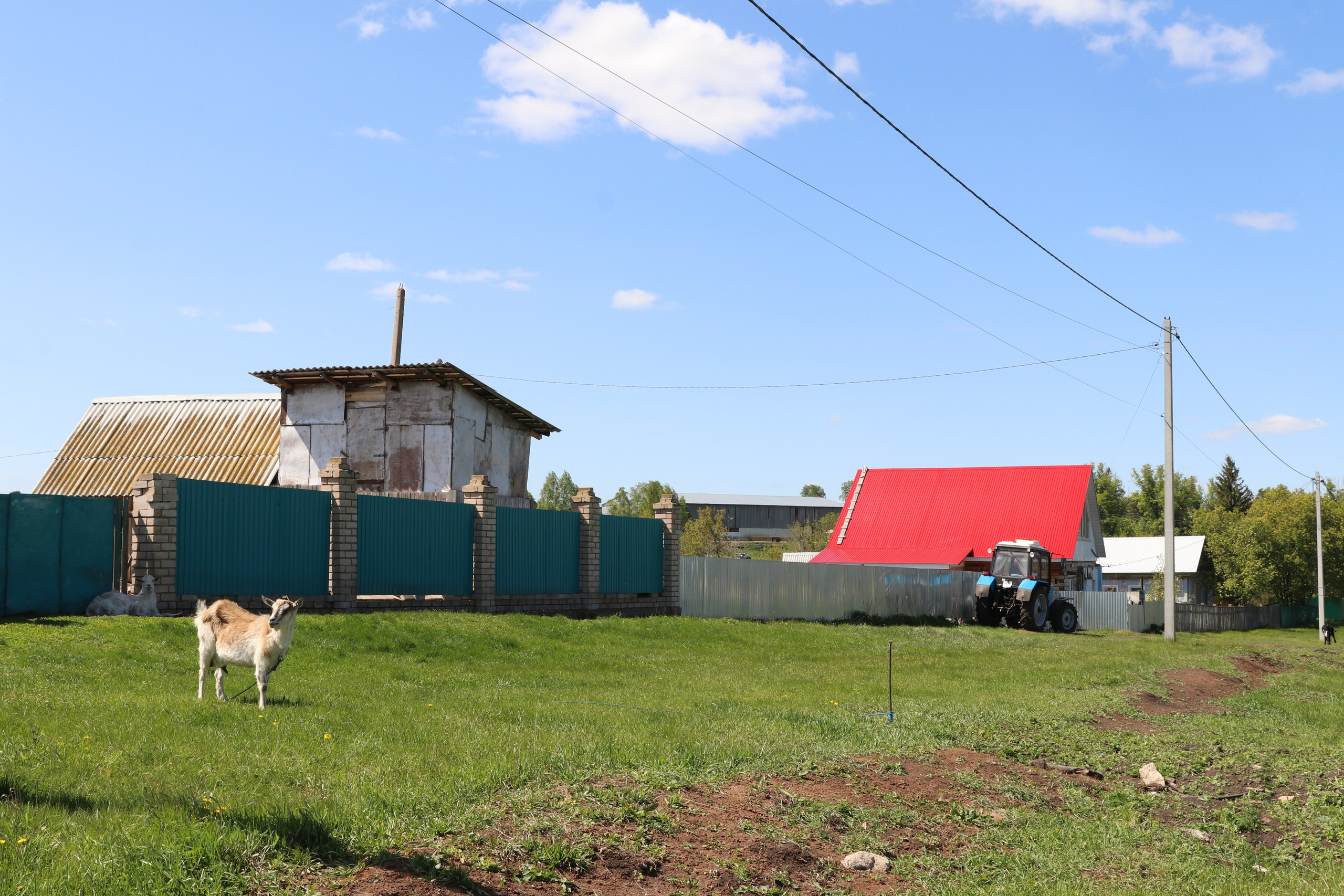 Велопоход Уфа — Мелеуз. Май 2024. Путешественник-фотограф из Санкт-Петербурга Татьяна Свистулина