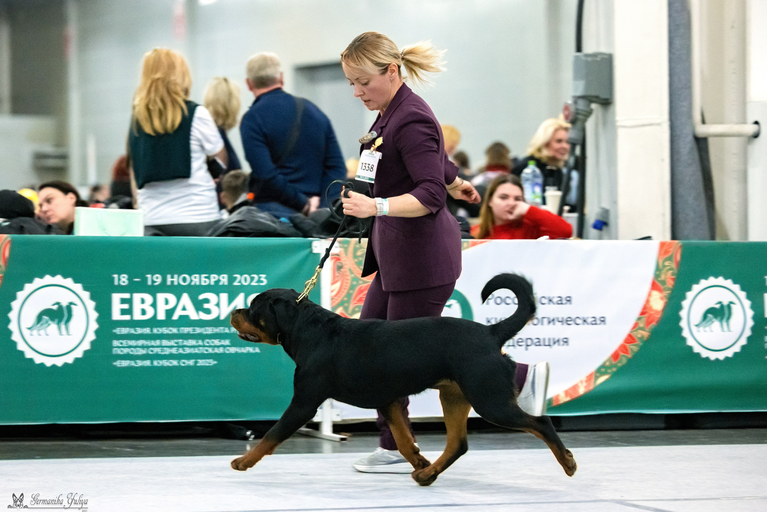 ЕВРАЗИЯ 18-19.11.2023. Фотограф-анималист Юлия Германика