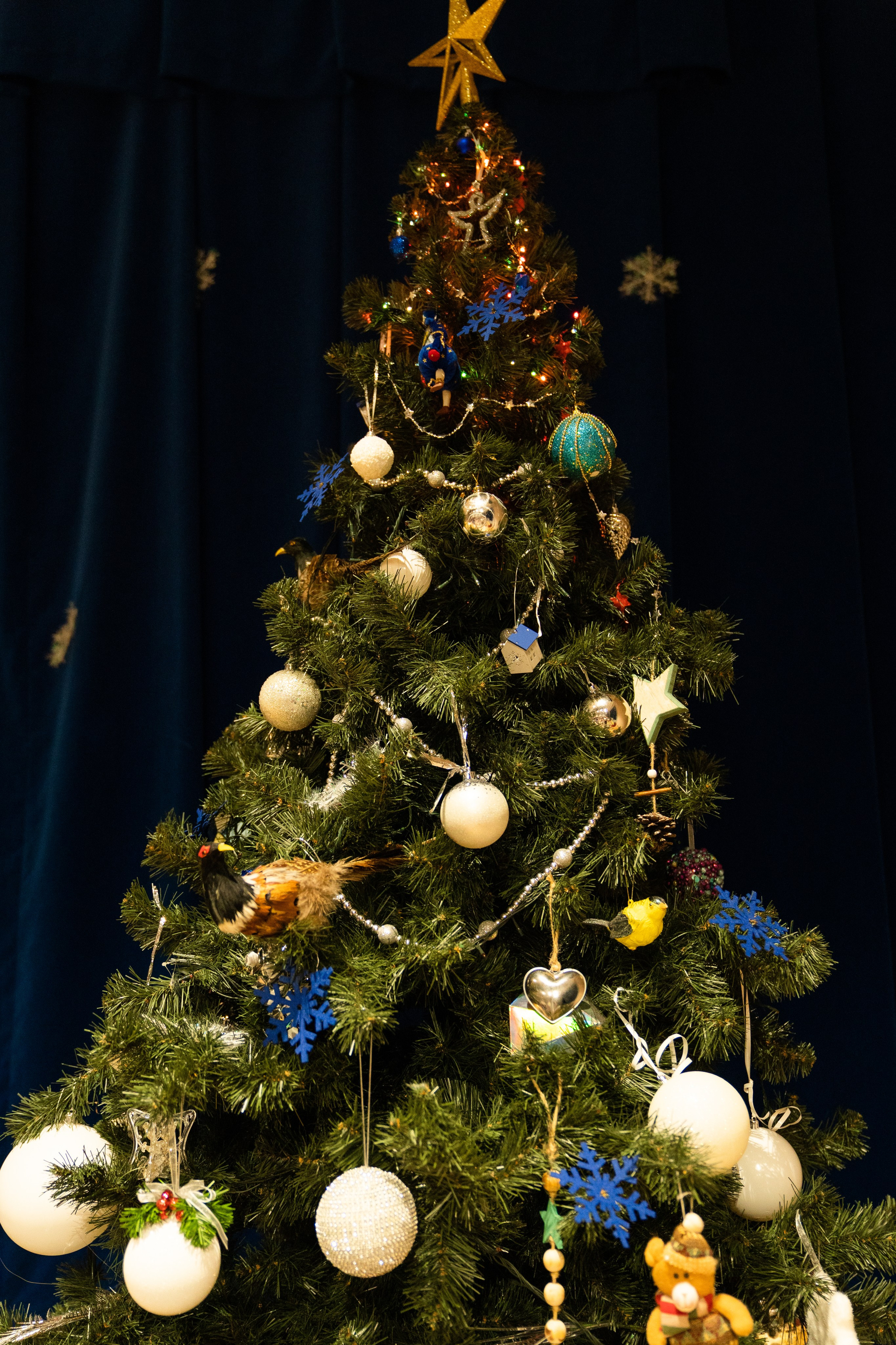 Театр Дом Карнавал. Главная