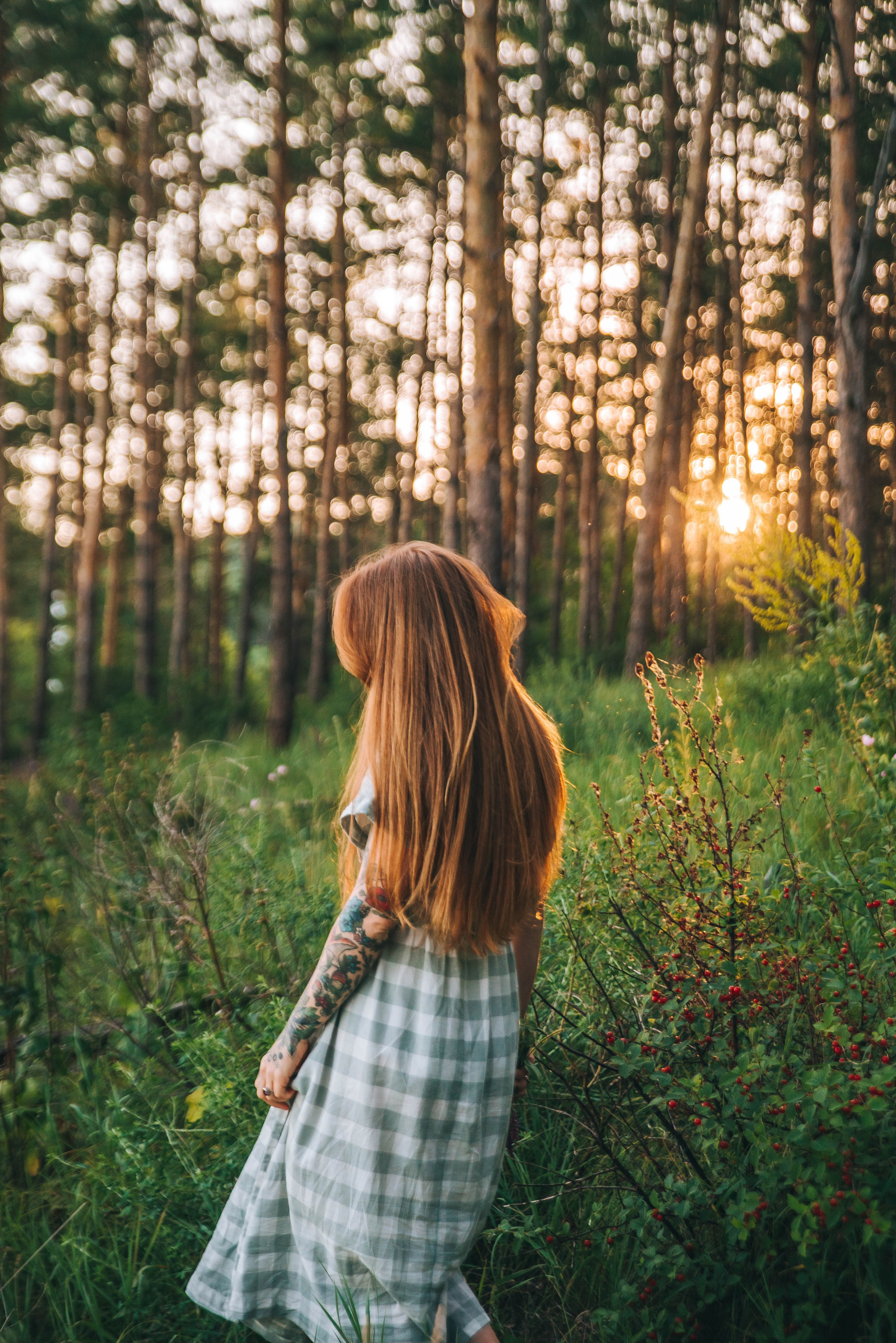 Аня Лёня Зоя и Лес. Главная