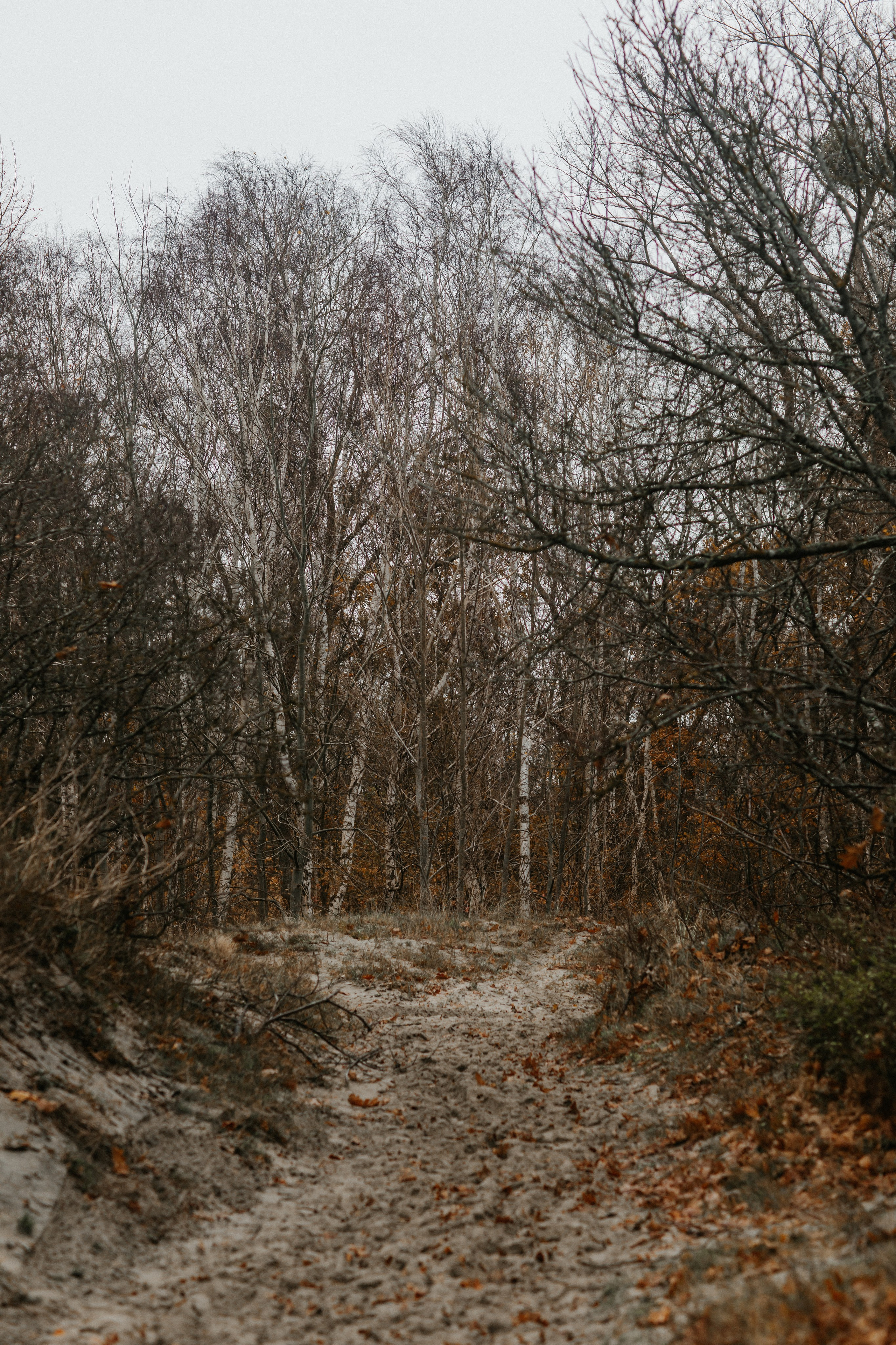 Фотосессия в Балтийске. Свадебный и семейный фотограф/видеограф в Краснодаре Наталья Осинская