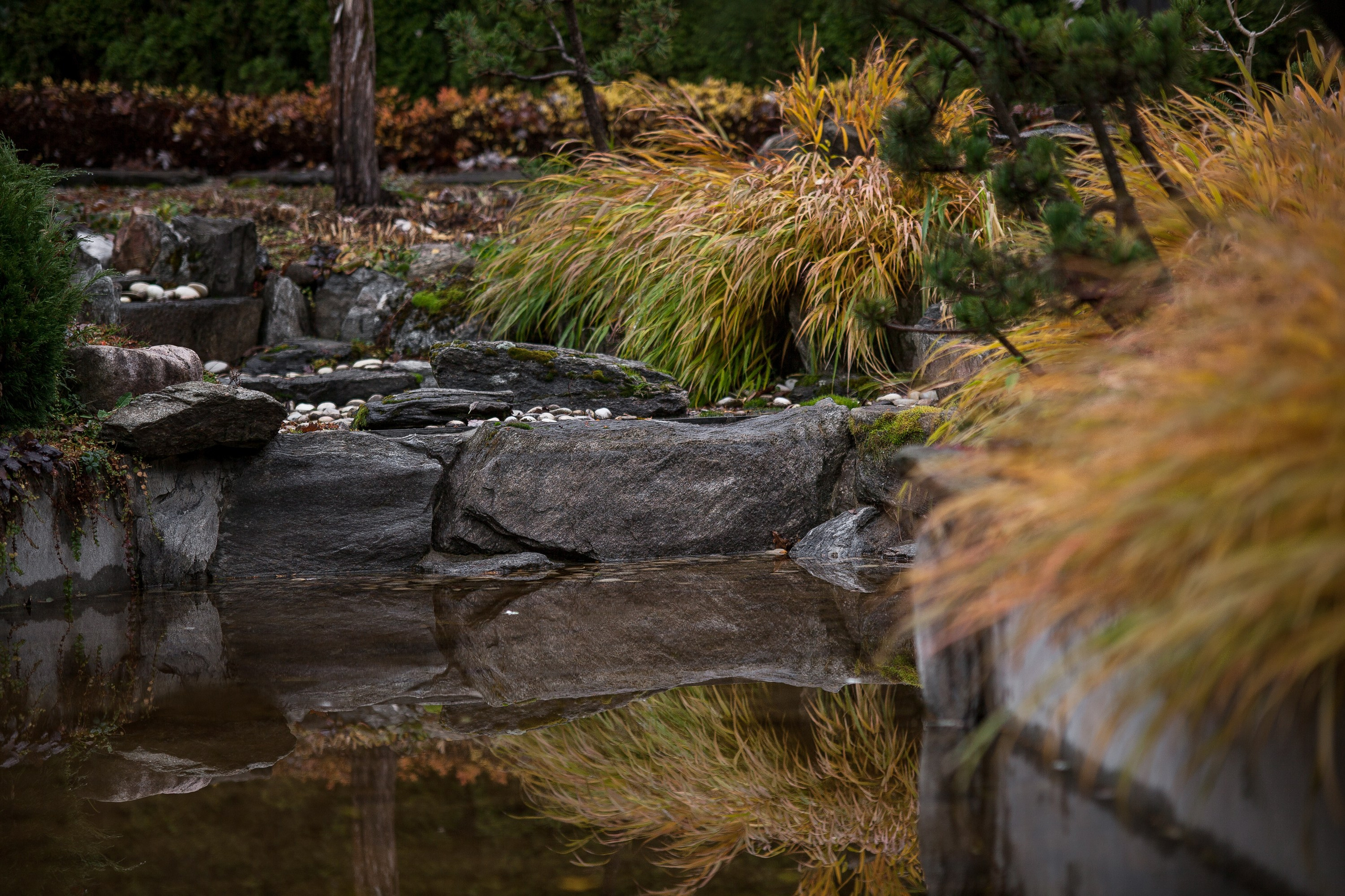 Личный сад Елены Асташкиной (осень). Фотограф Виталий Туманов. Туманов Виталий — фотограф Москва