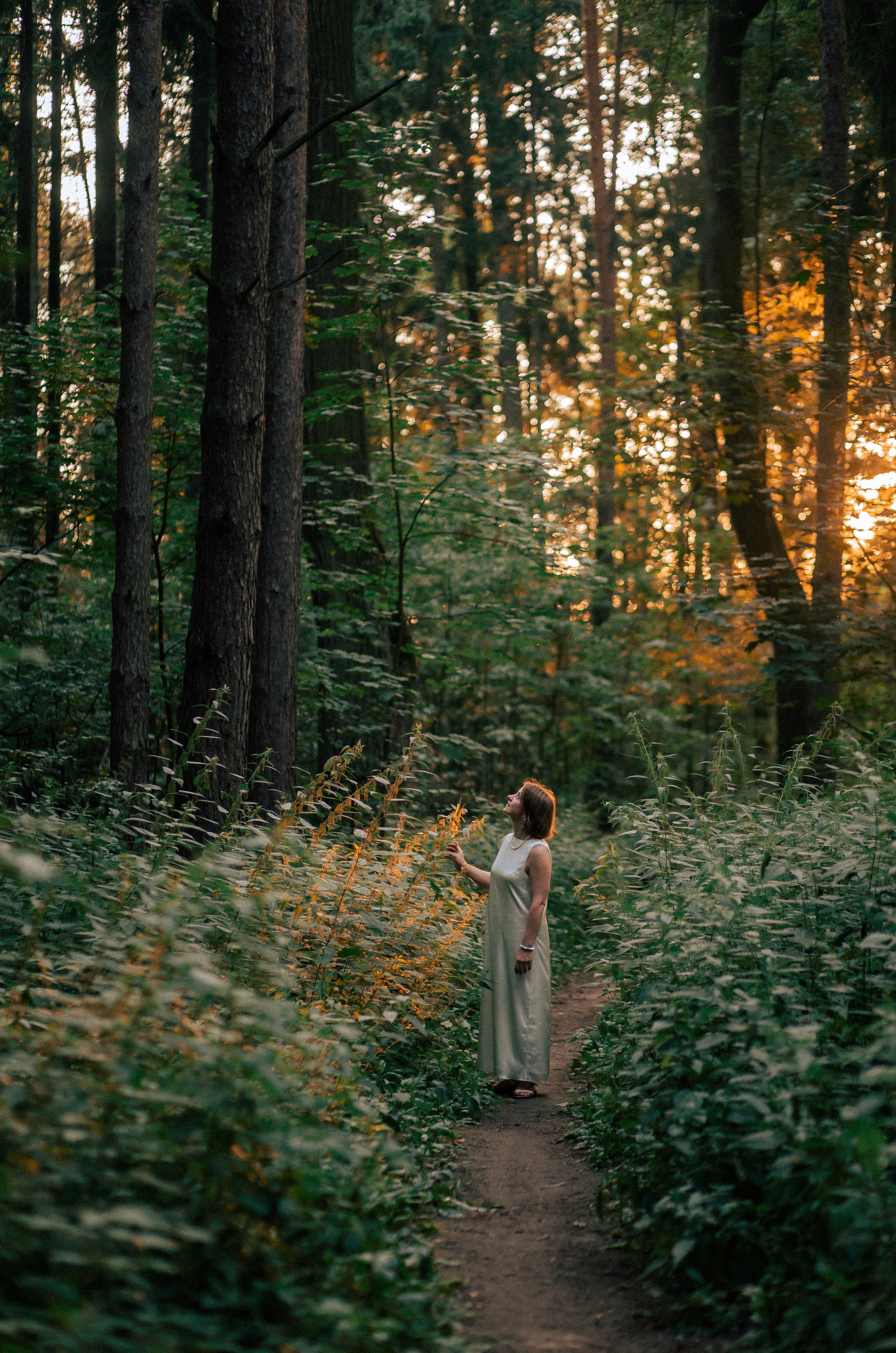 Цены. Фотограф Валентина Волкова. Москва, Апрелевка, Переделкино