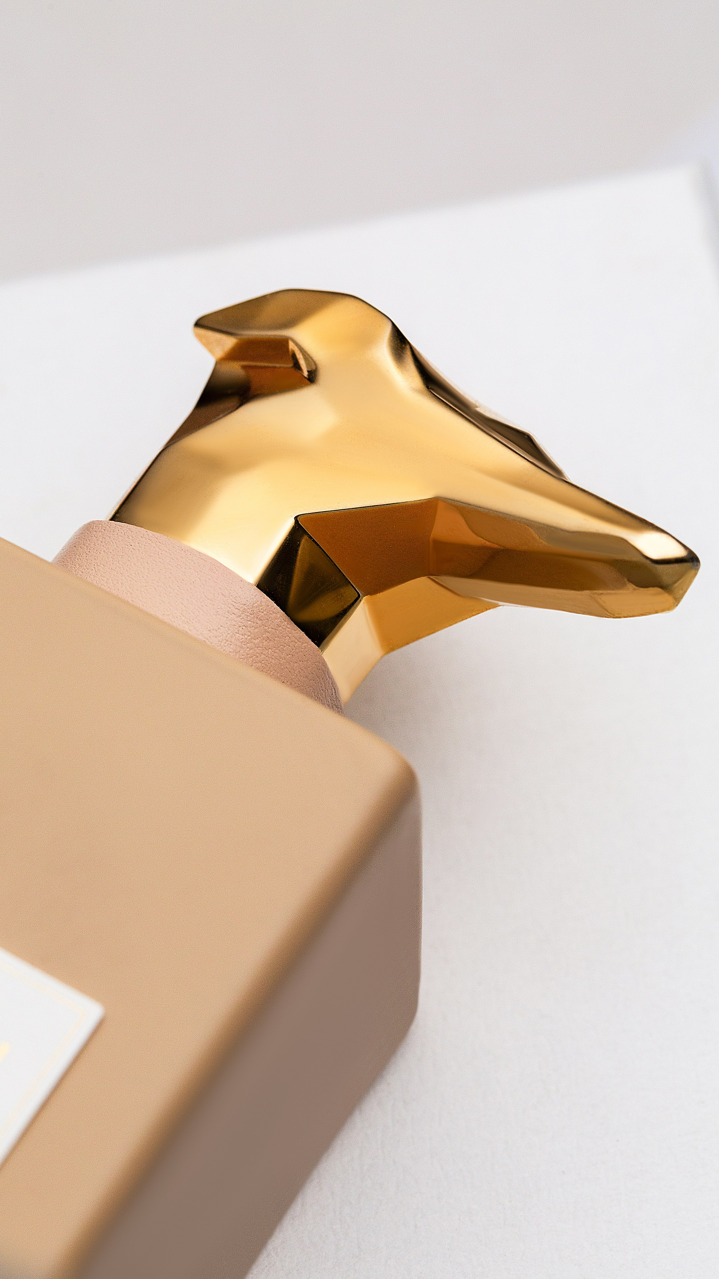 Предметный фотограф Анна Мандрикян. Предметный фотограф в Ростове-на-Дону. Фотограф Анна Мандрикян