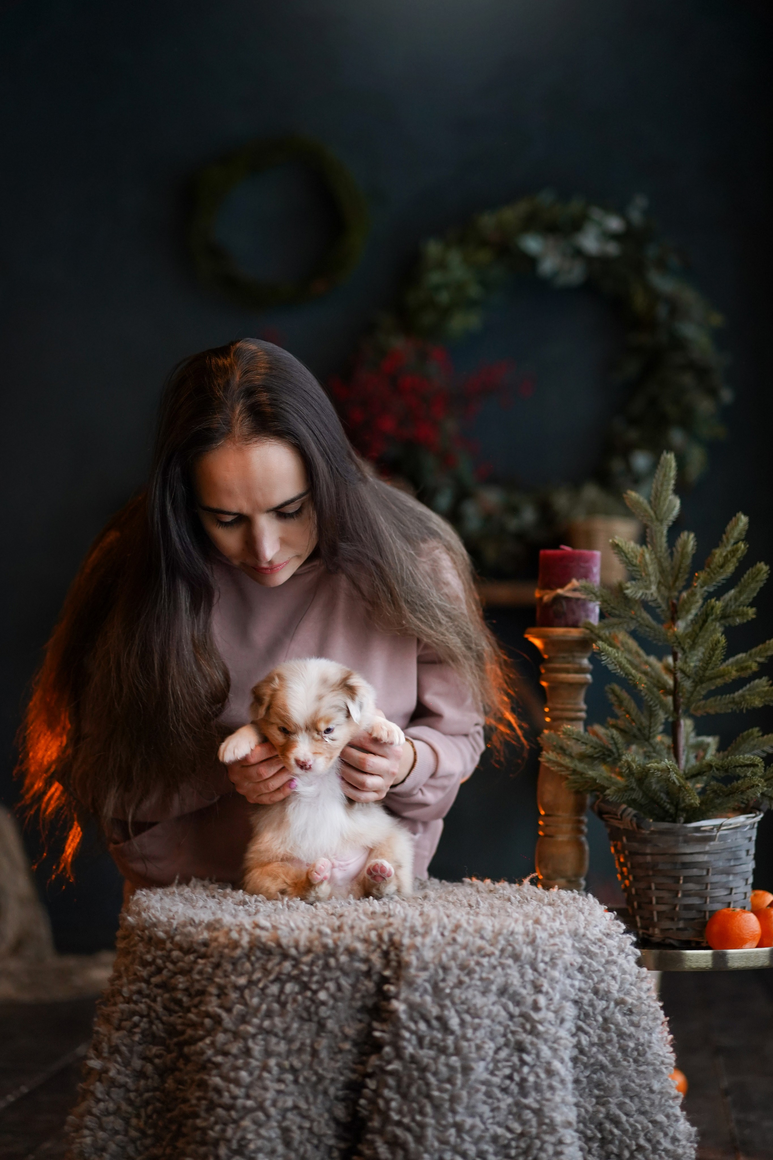Съемка щеночков в студии. Фотограф-анималист в Санкт-Петербурге Яна Мартынова